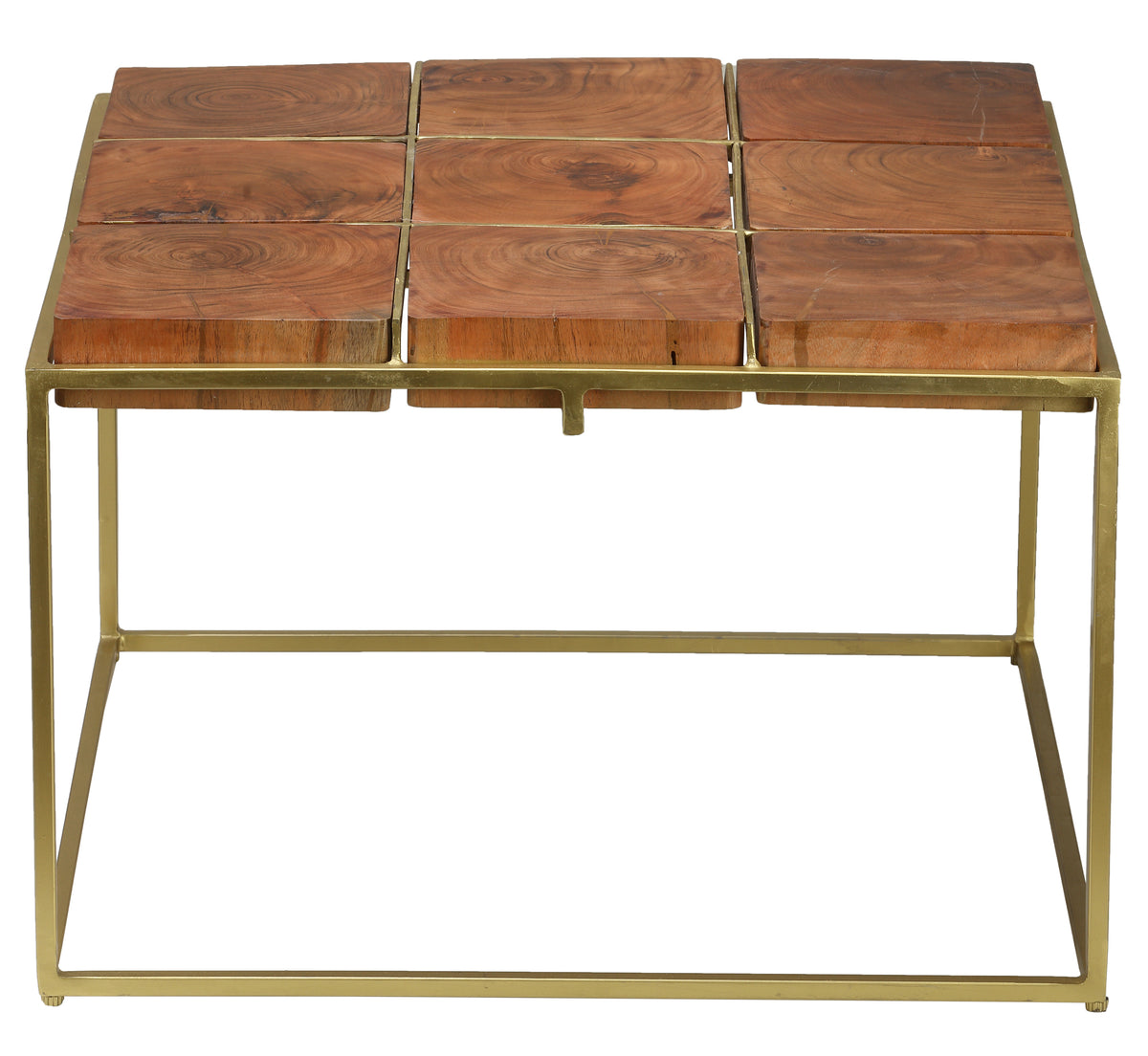 Bare Decor Cheyenne Metal and Wood Coffee Table