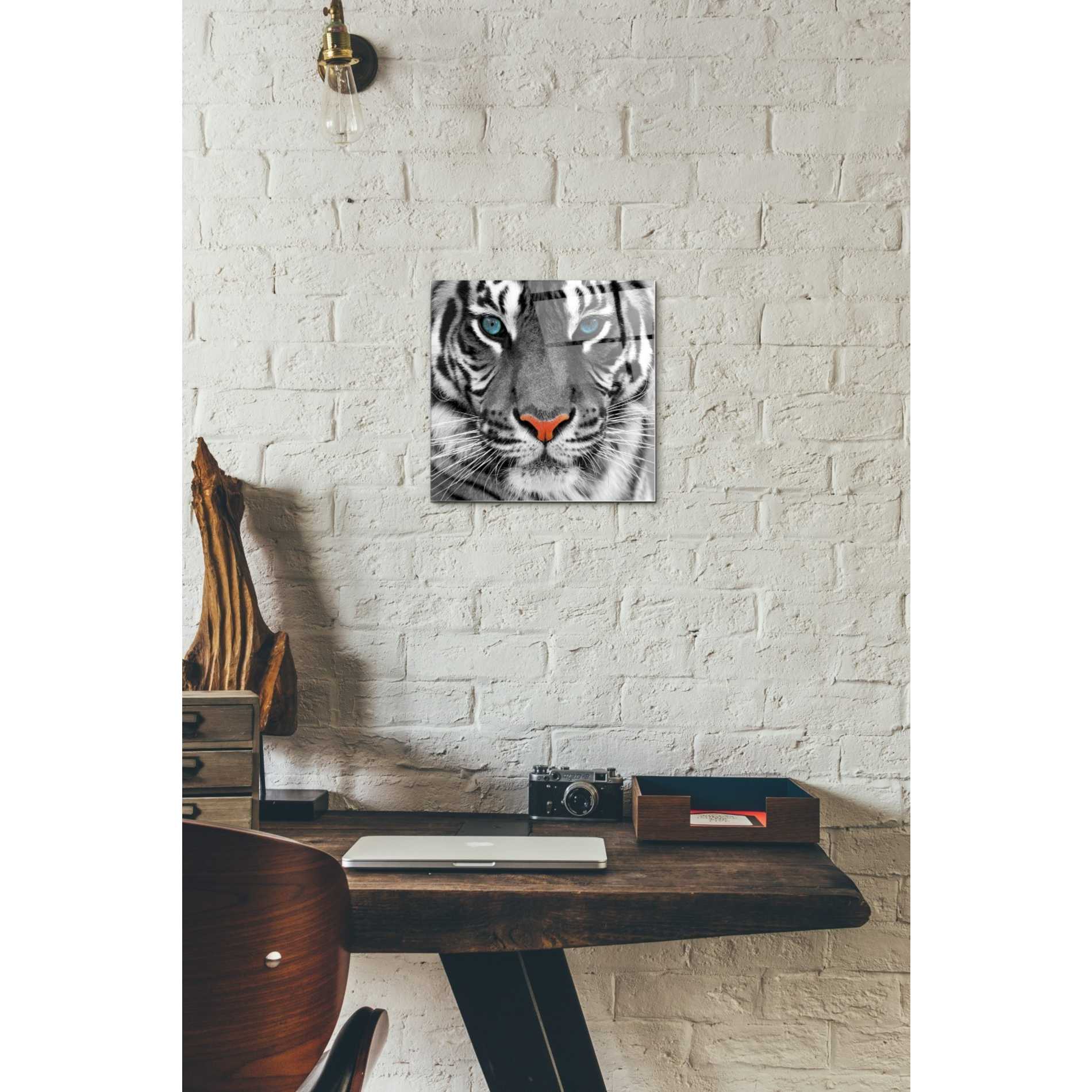 Epic Art 'Thrill of the Tiger' Acrylic Glass Wall Art