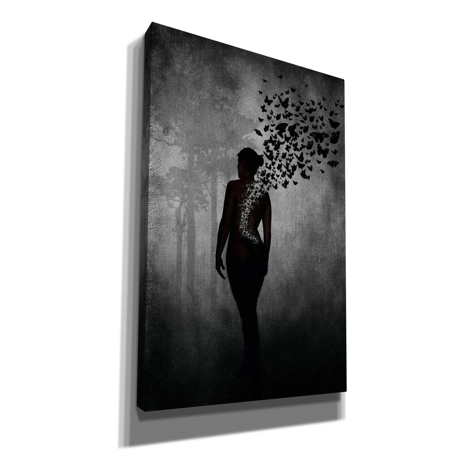 Cortesi Home 'The Butterfly Transformation' by Nicklas Gustafsson, Canvas Wall Art