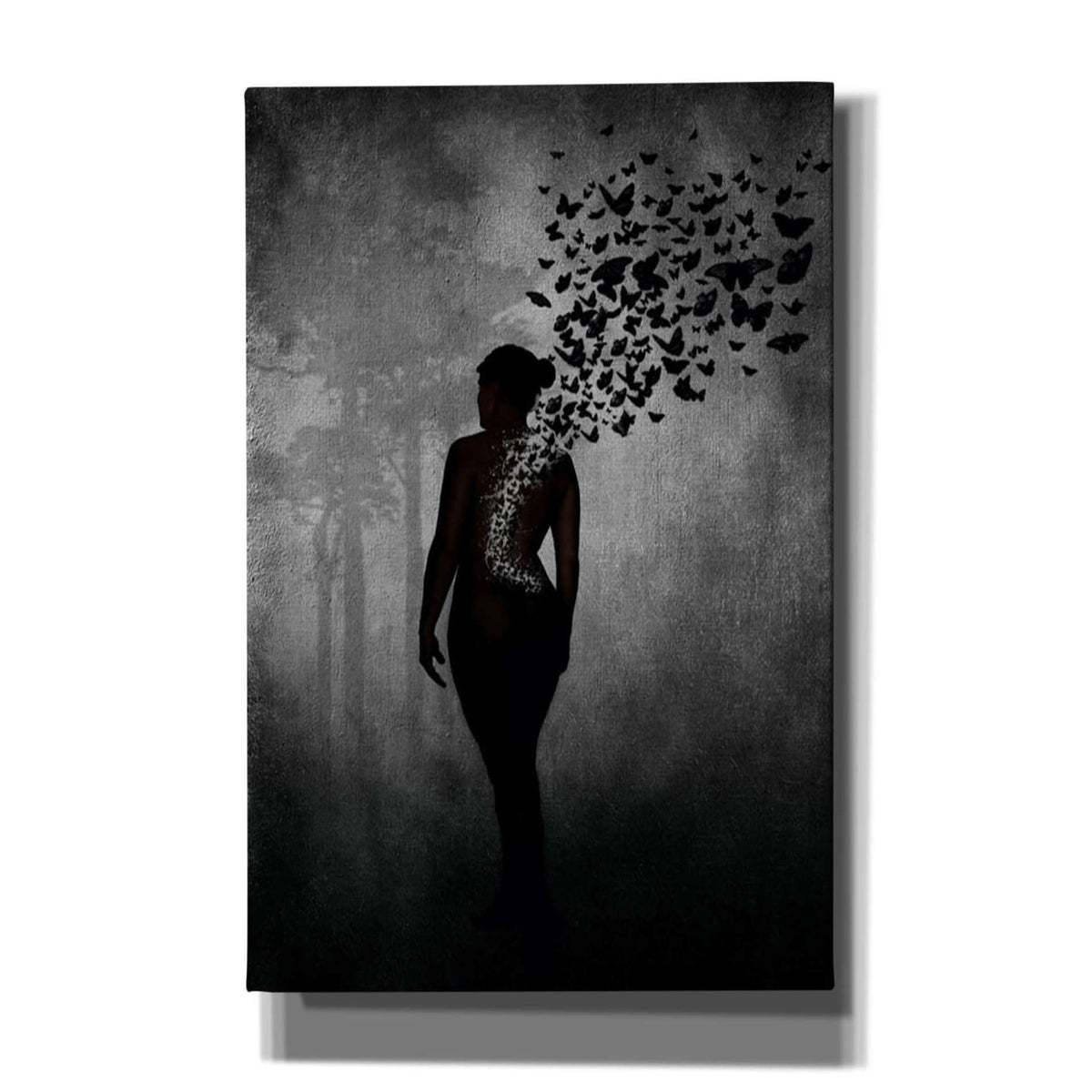 Cortesi Home &#39;The Butterfly Transformation&#39; by Nicklas Gustafsson, Canvas Wall Art