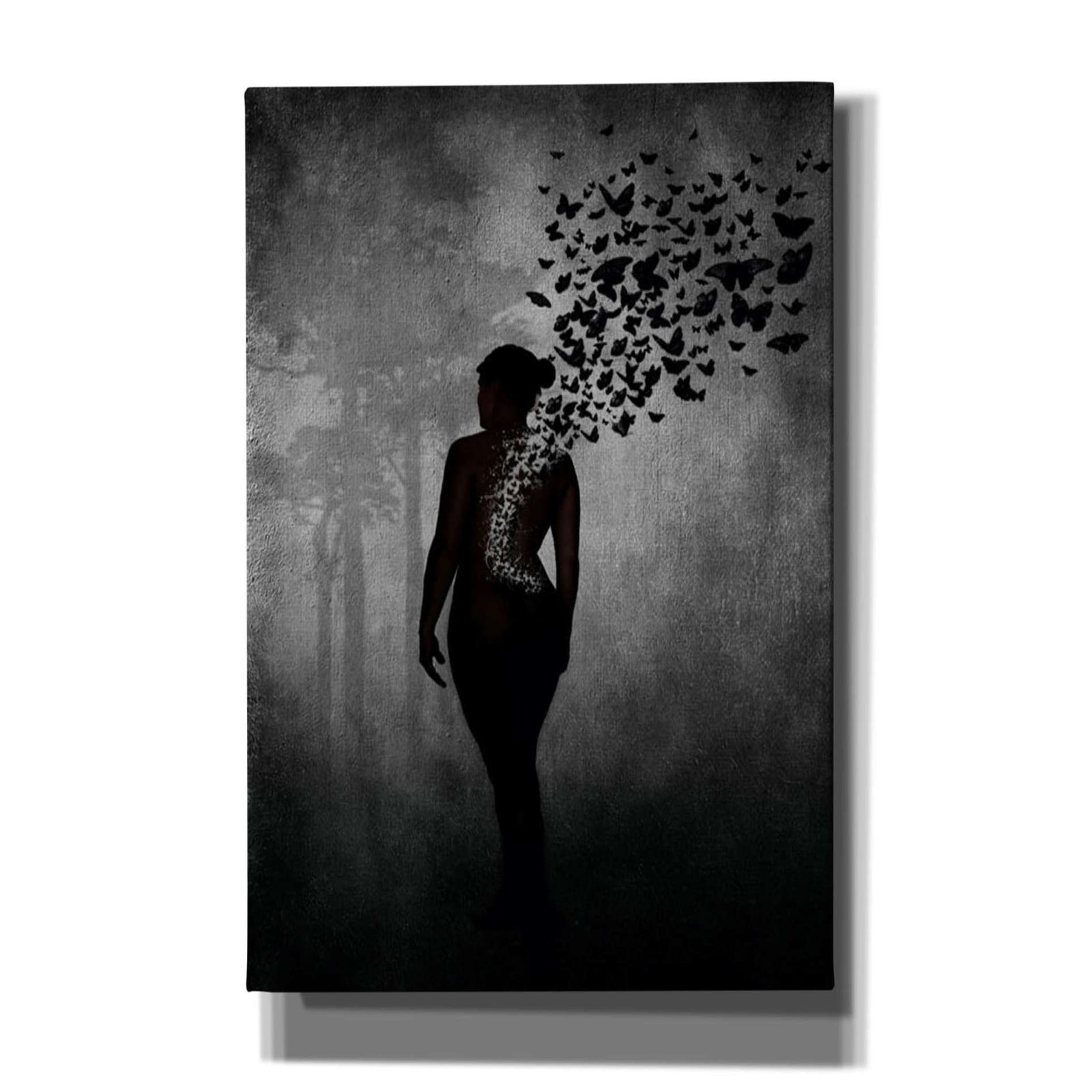 Cortesi Home 'The Butterfly Transformation' by Nicklas Gustafsson, Canvas Wall Art