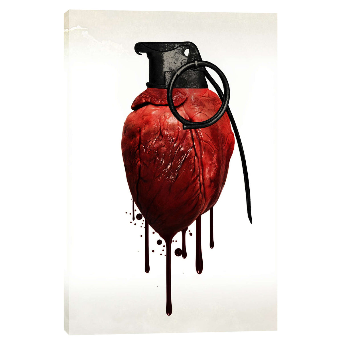 Cortesi Home &#39;Heart Grenade&#39; by Nicklas Gustafsson, Canvas Wall Art