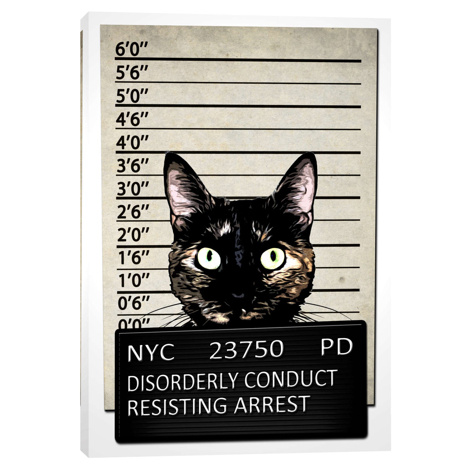 Cortesi Home 'Kitty Mugshot' by Nicklas Gustafsson, Canvas Wall Art