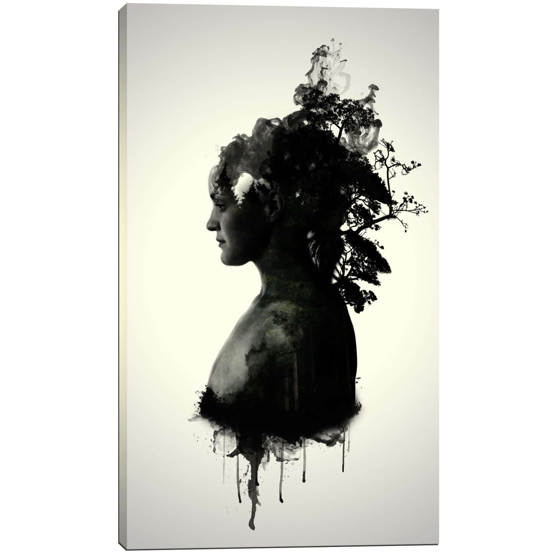 Cortesi Home 'Mother Earth' by Nicklas Gustafsson, Canvas Wall Art