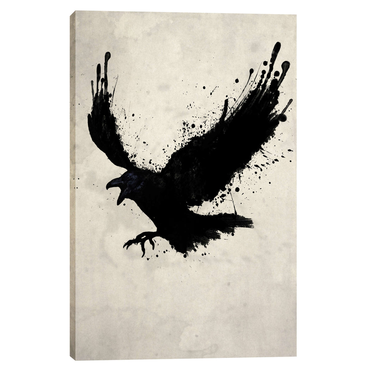 Cortesi Home &quot;Raven&quot; by Nicklas Gustafsson, Giclee Canvas Wall Art