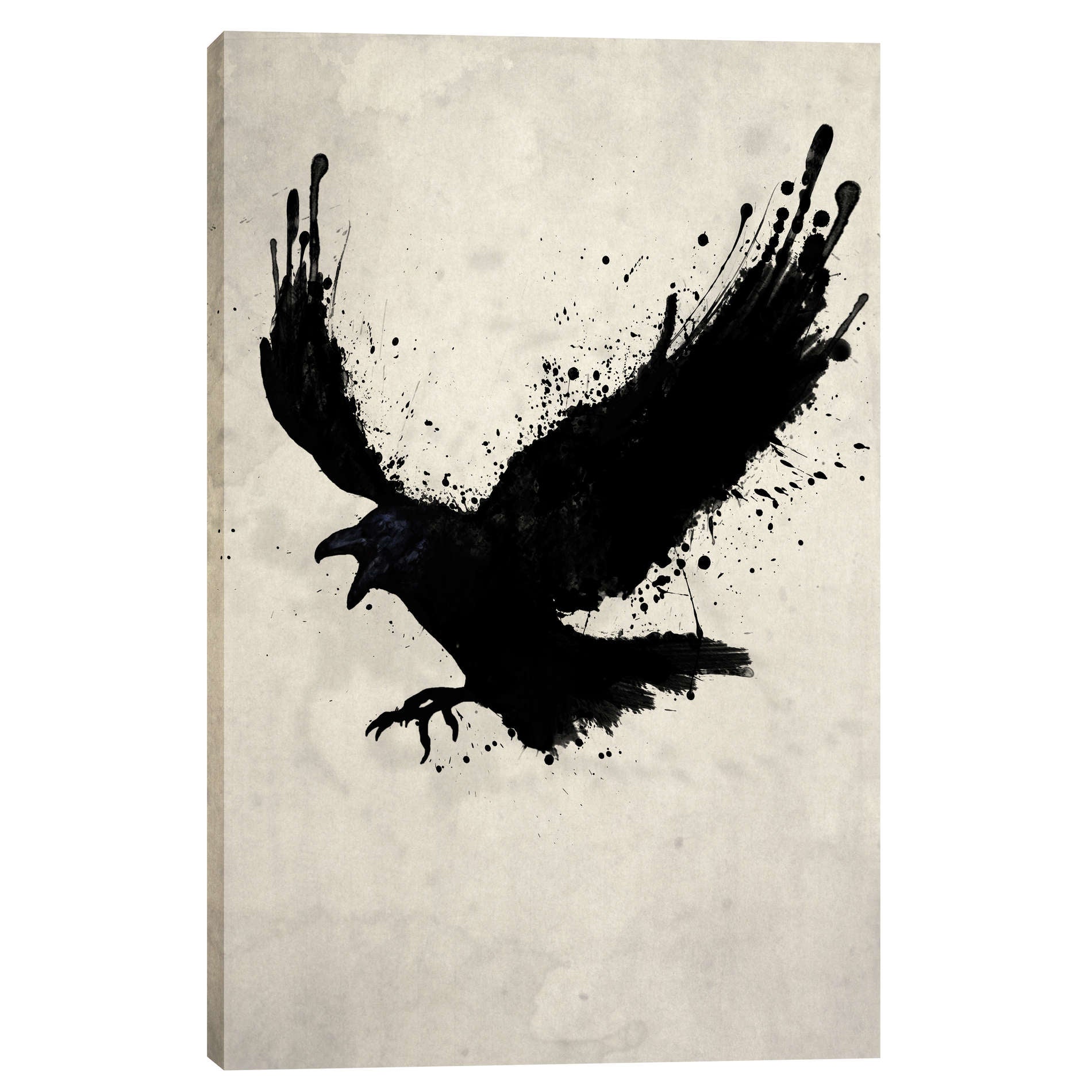 Cortesi Home 'Raven' by Nicklas Gustafsson, Canvas Wall Art