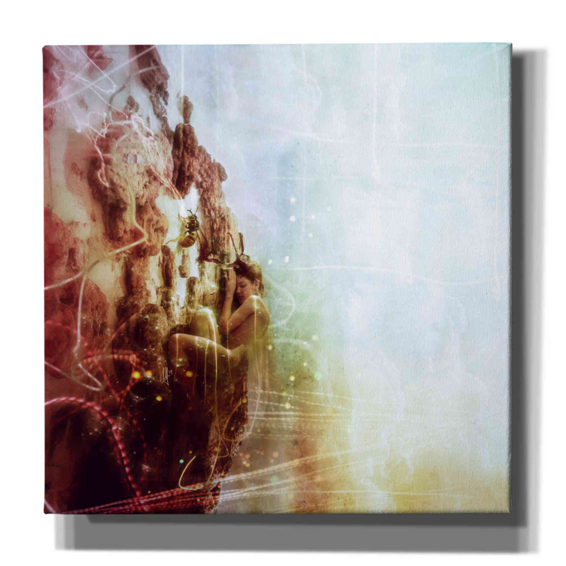 Cortesi Home 'How To Disappear Completely' by Mario Sanchez Nevado, Canvas Wall Art,Size 1 Square