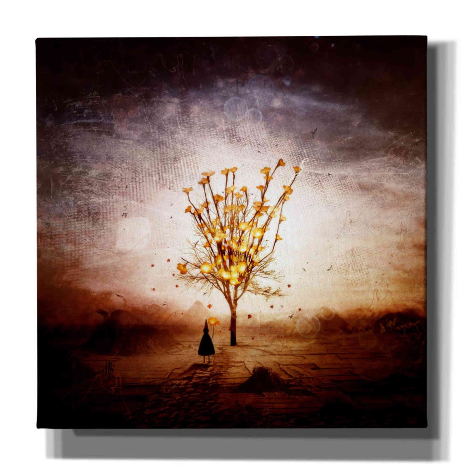 Cortesi Home 'Finding' by Mario Sanchez Nevado, Canvas Wall Art,Size 1 Square