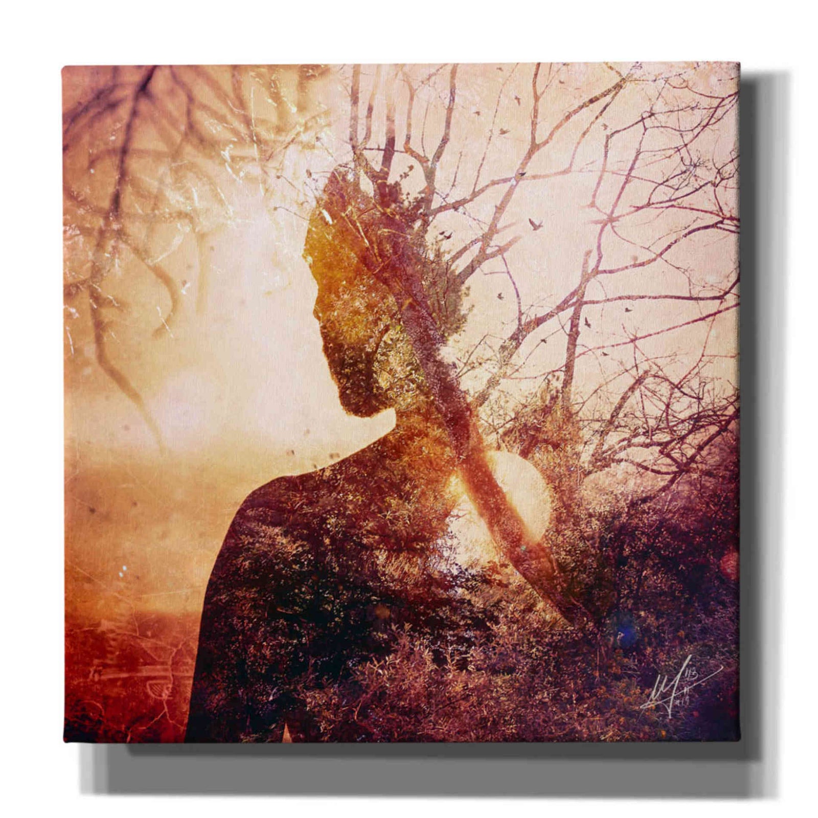 Cortesi Home 'Maps' by Mario Sanchez Nevado, Canvas Wall Art,Size 1 Square