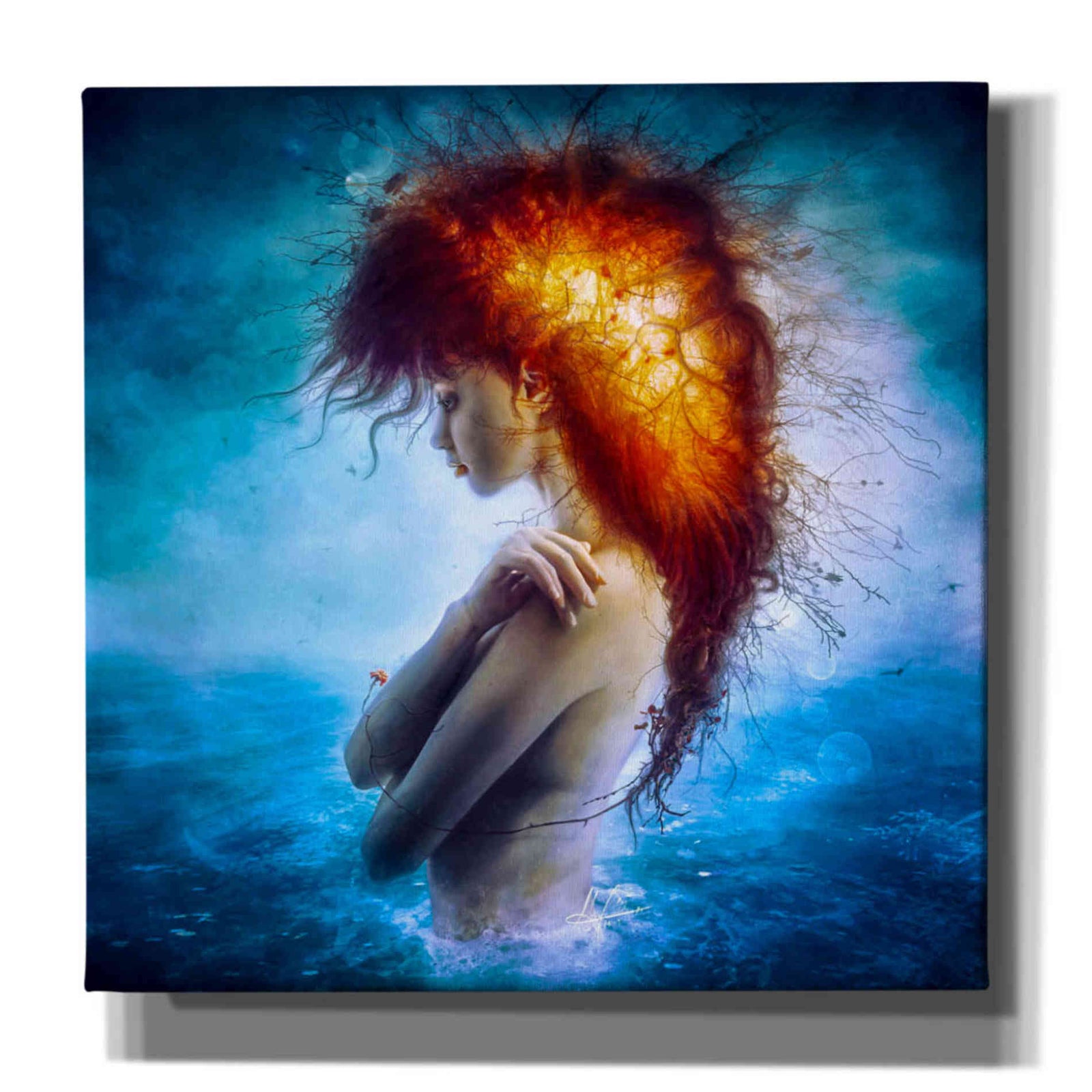 Cortesi Home 'Nirvana' by Mario Sanchez Nevado, Canvas Wall Art,Size 1 Square