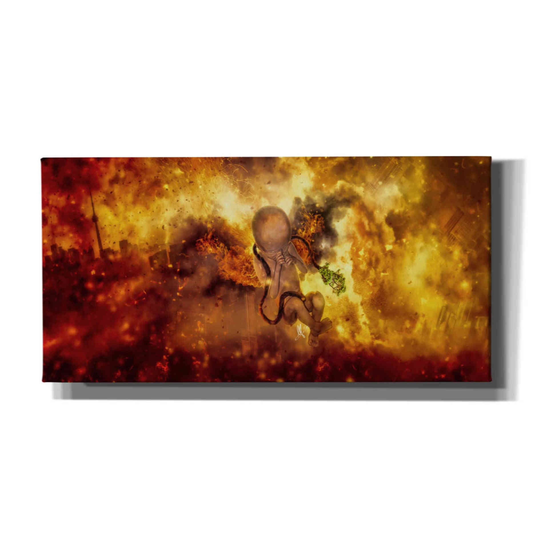 Cortesi Home 'Phoenix Newborn' by Mario Sanchez Nevado, Canvas Wall Art,Size 2 Landscape