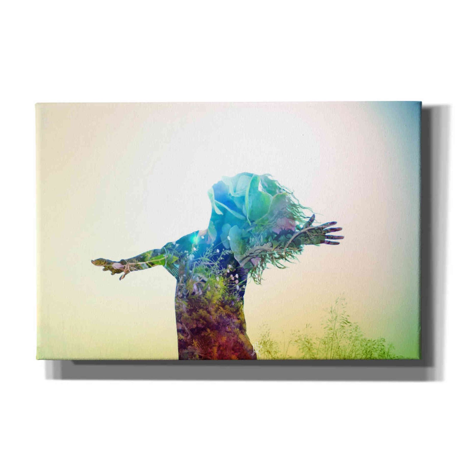 Cortesi Home 'Release' by Mario Sanchez Nevado, Canvas Wall Art,Size A Landscape