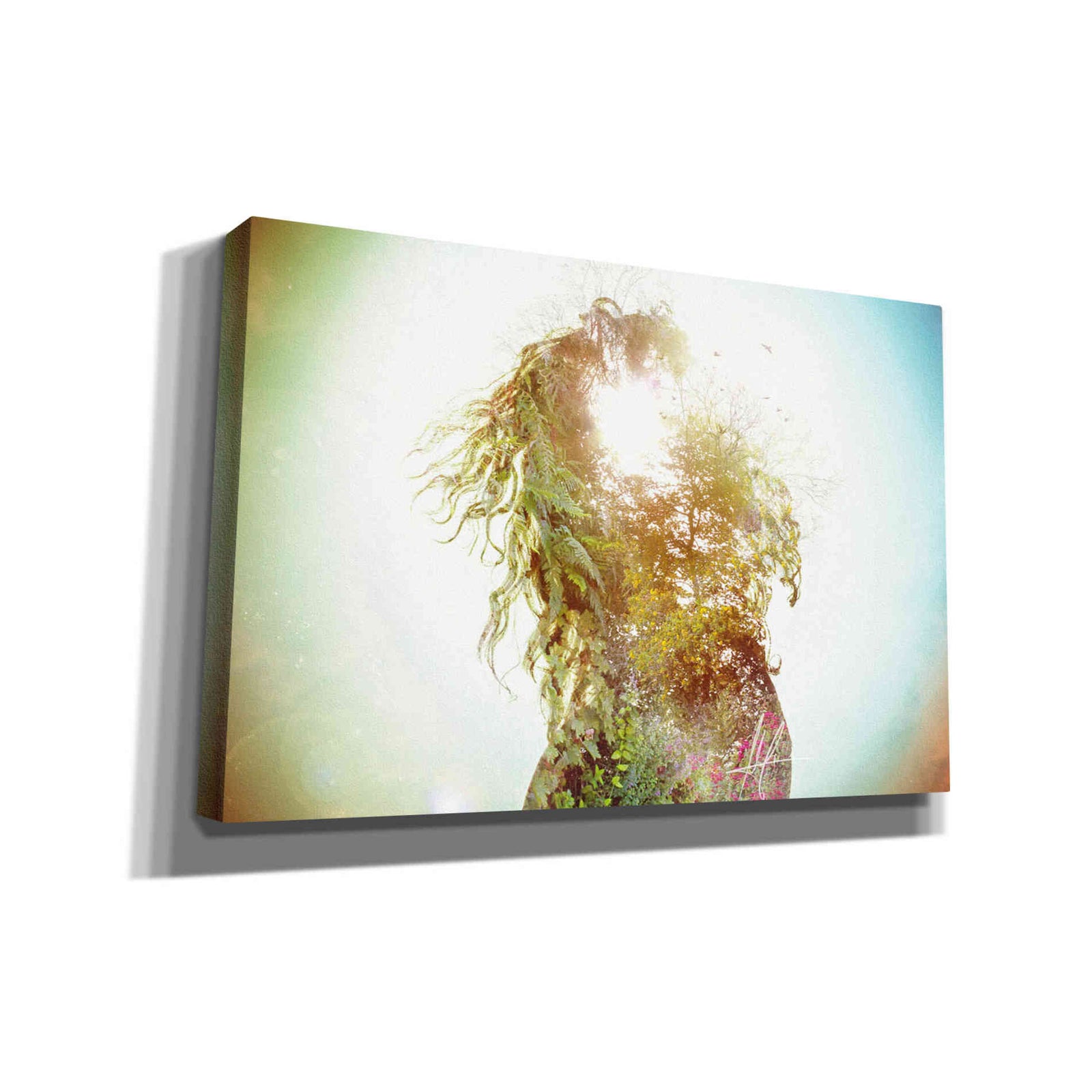 Cortesi Home 'Wisdom' by Mario Sanchez Nevado, Canvas Wall Art,Size A Landscape