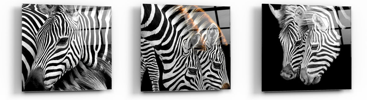 Cortesi Home Zebra Stripes Tempered Glass Wall Art, 12&quot; x 12&quot; (Set of 3)