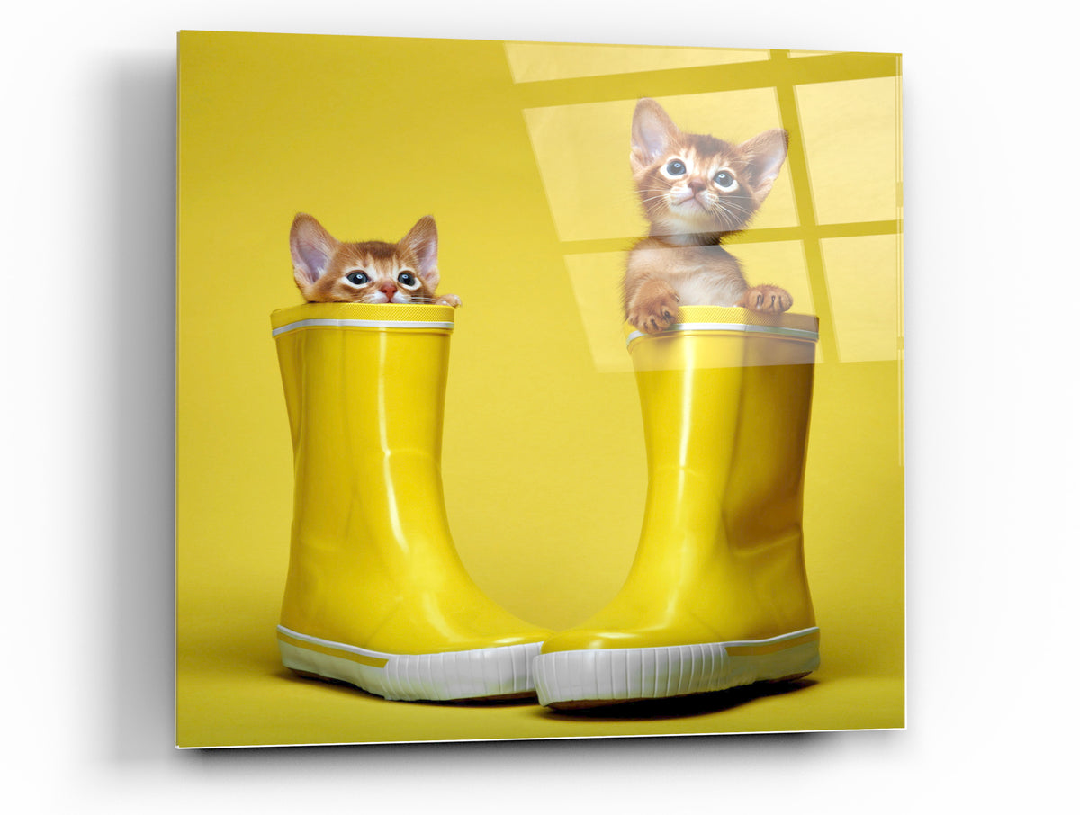 Cortesi Home Puss in Boots Tempered Glass Wall Art, 12&quot; x 12&quot;
