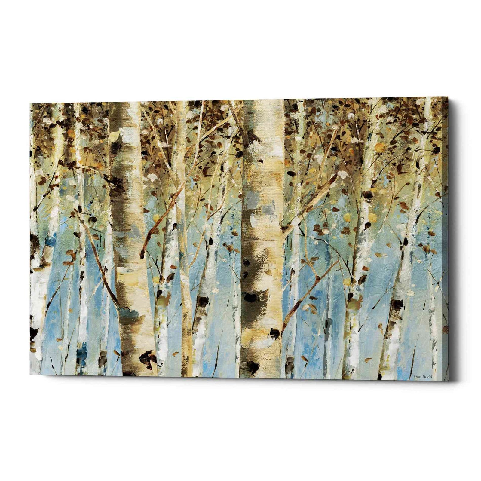 Epic Graffiti 'White Forest' by Lisa Audit, Canvas Wall Art,