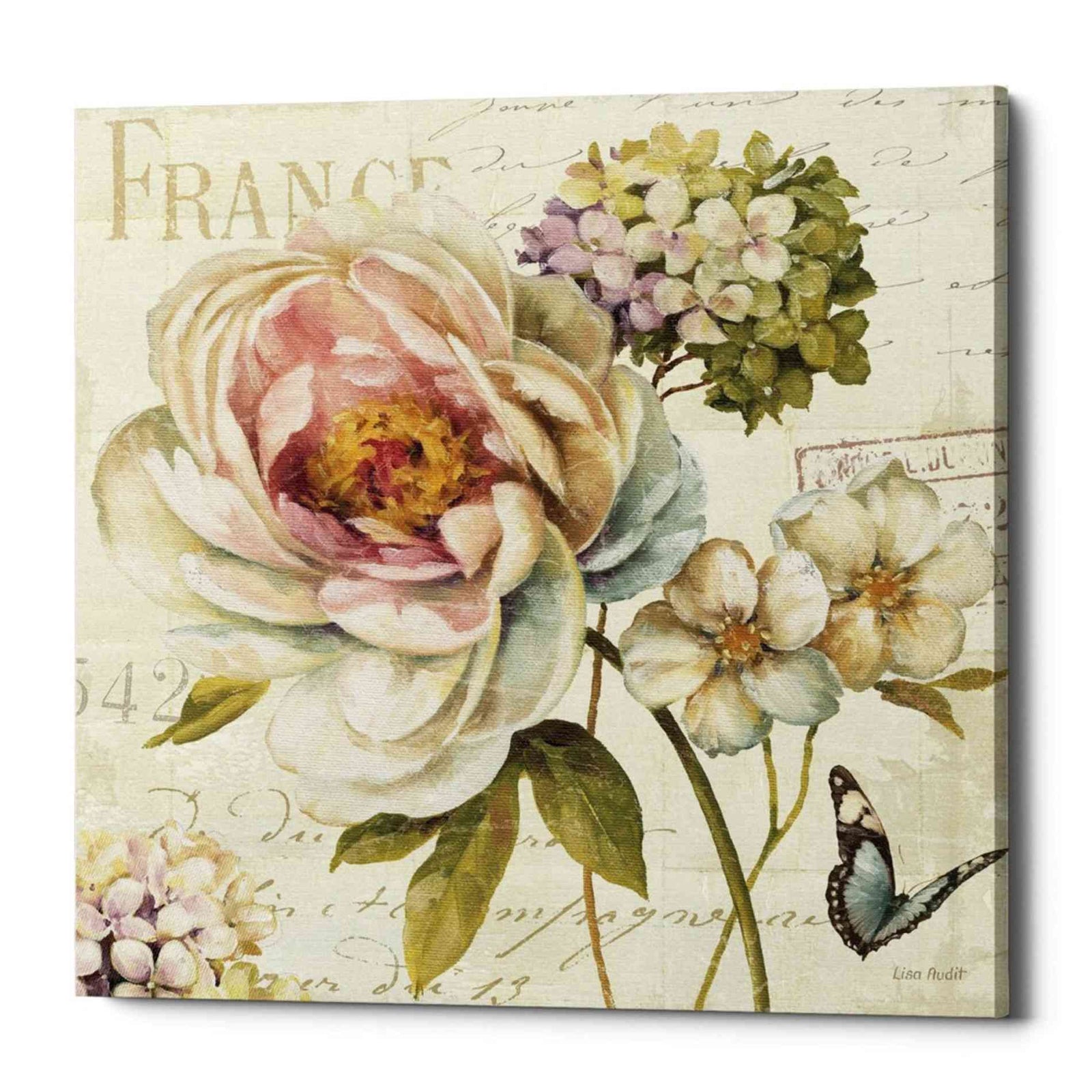 Epic Graffiti 'Marche de Fleurs III' by Lisa Audit, Canvas Wall Art,