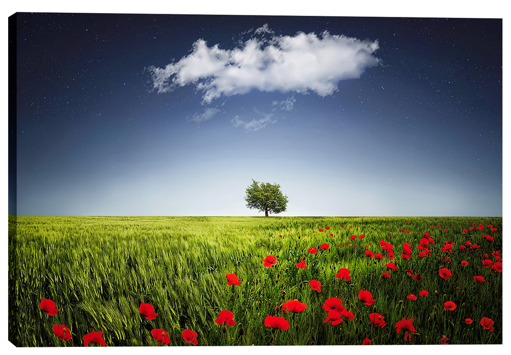 Epic Graffiti &quot;Lone Tree in a Poppy Field&quot; Giclee Canvas Wall Art