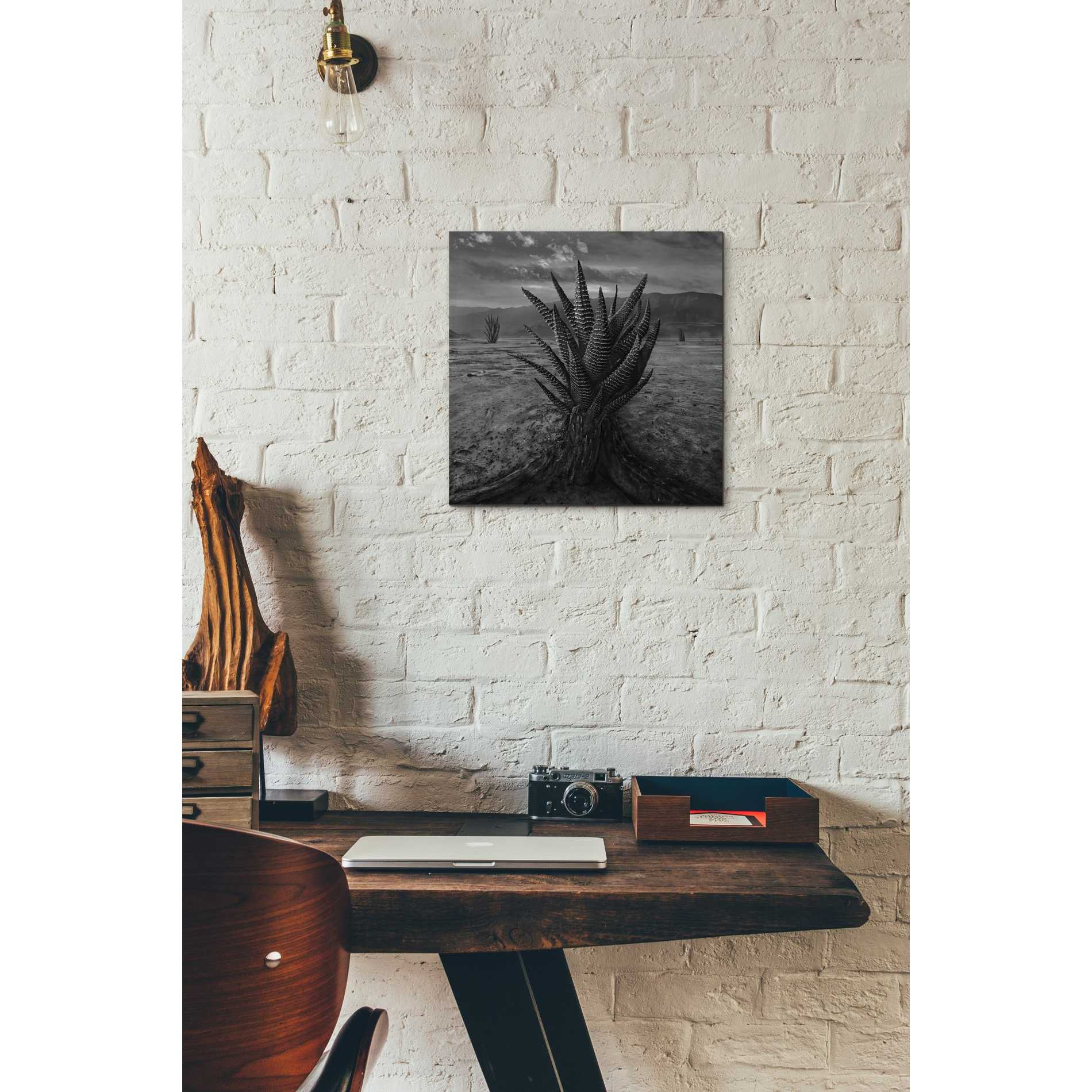 Epic Graffiti 'Cactus' by Dariusz Klimczak, Canvas Wall Art