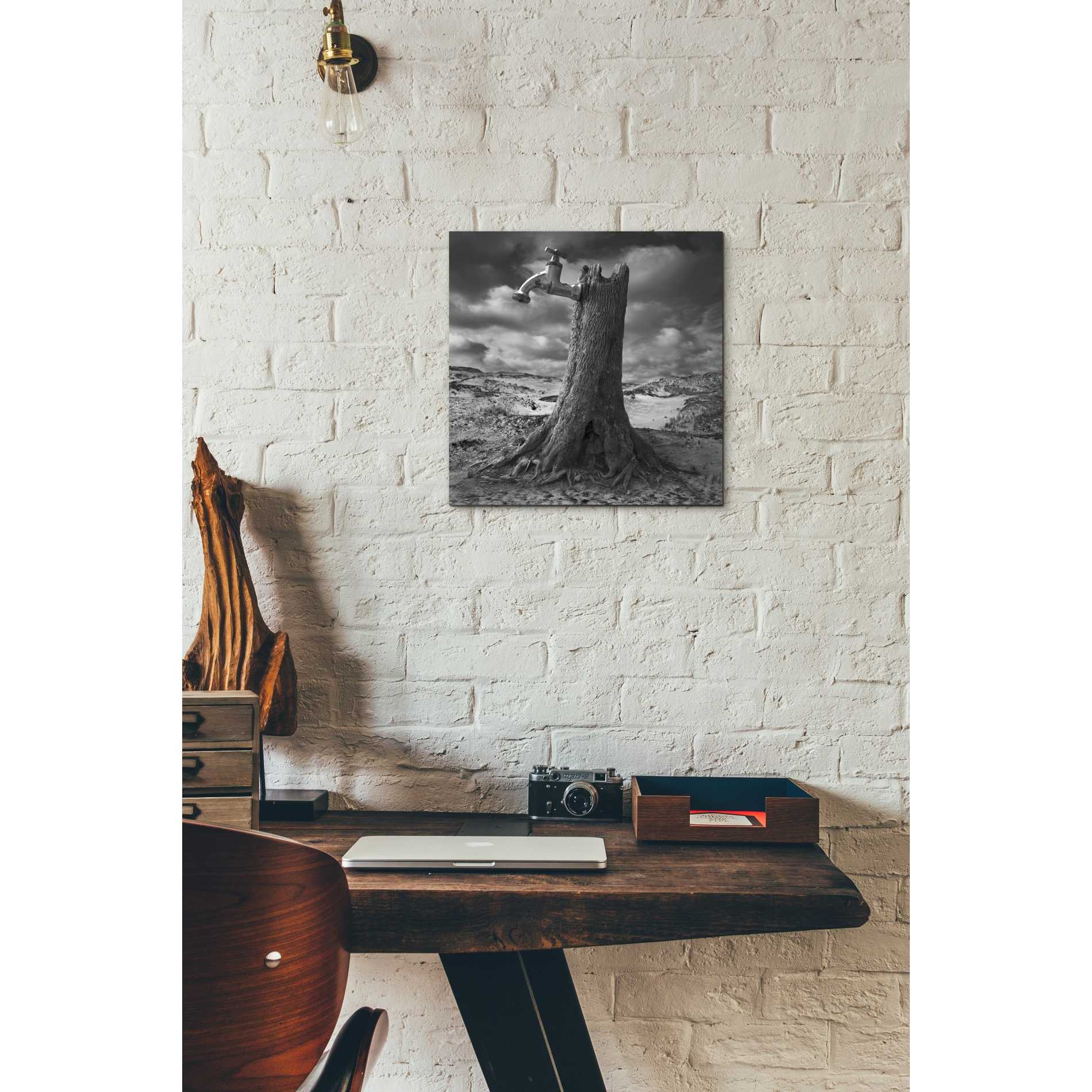 Epic Graffiti 'Dry' by Dariusz Klimczak, Canvas Wall Art