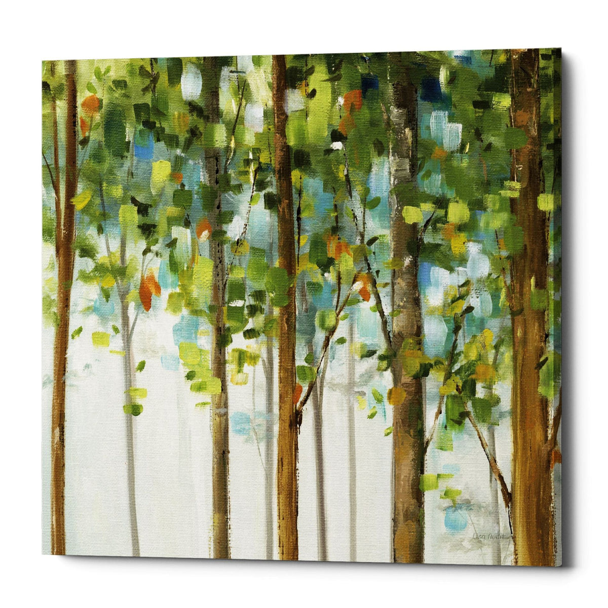 Epic Graffiti &quot;Forest Study III&quot; by Lisa Audit, Giclee Canvas Wall Art, 26&quot;x26&quot;
