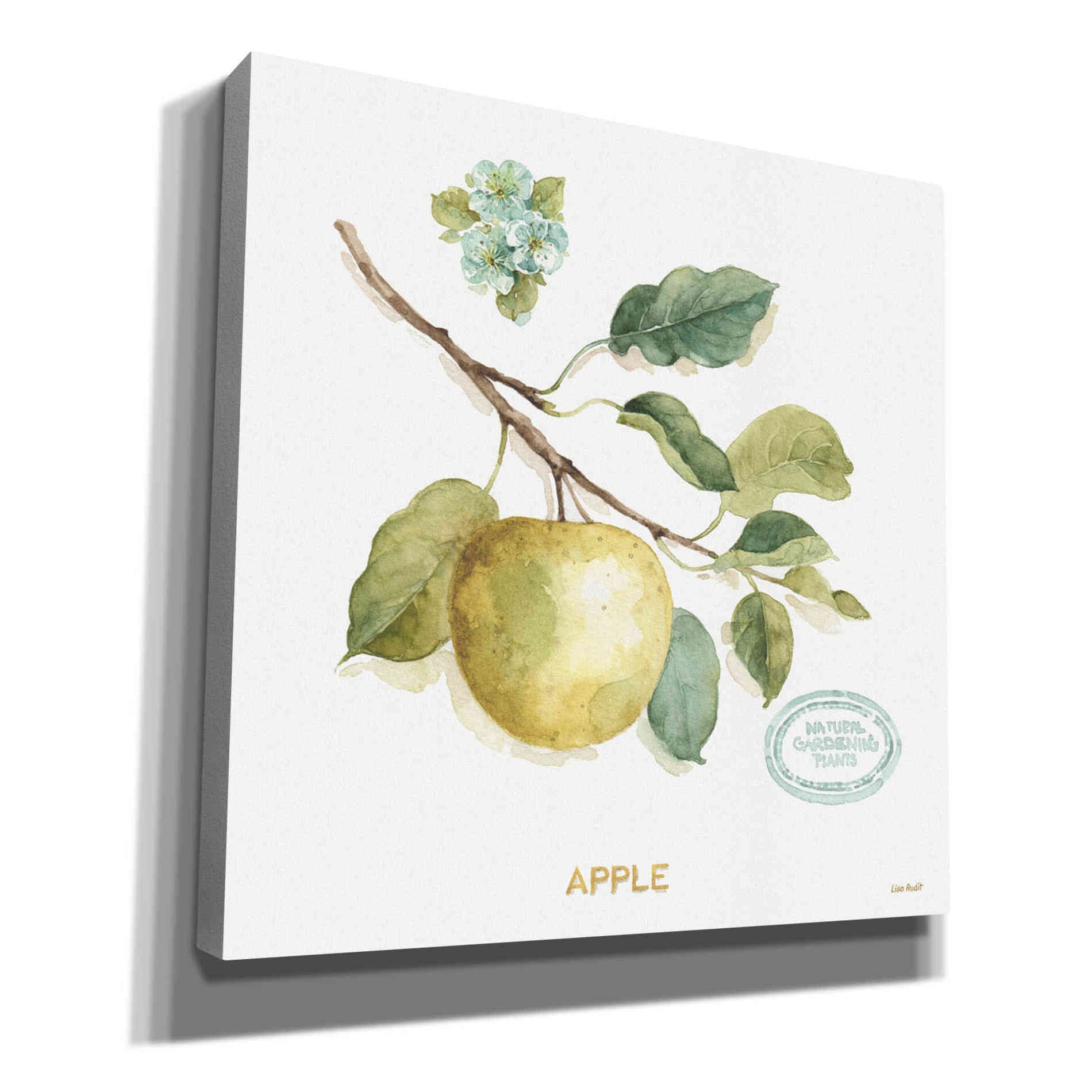 Epic Graffiti 'My Greenhouse Fruit IV' by Lisa Audit, Canvas Wall Art