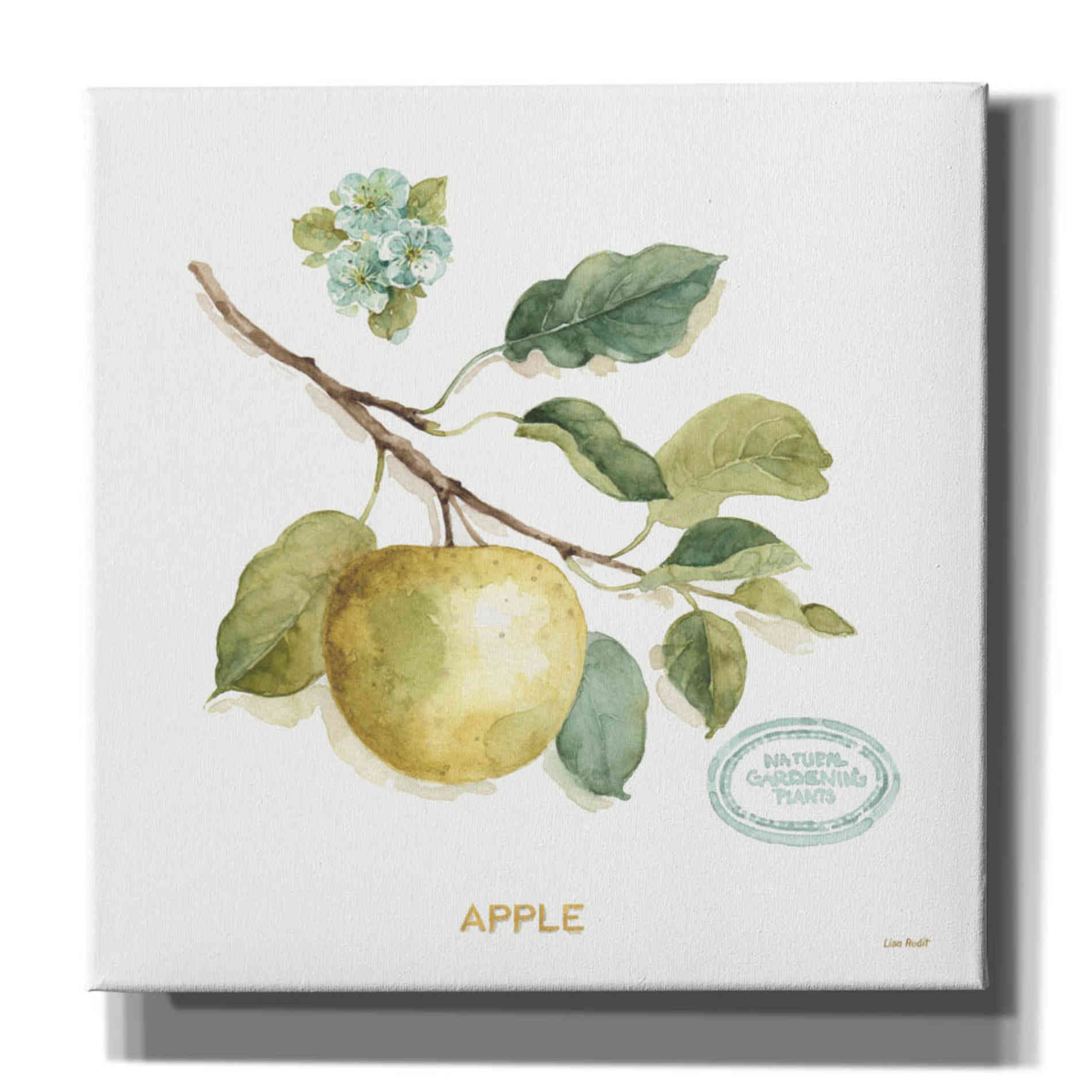 Epic Graffiti 'My Greenhouse Fruit IV' by Lisa Audit, Canvas Wall Art