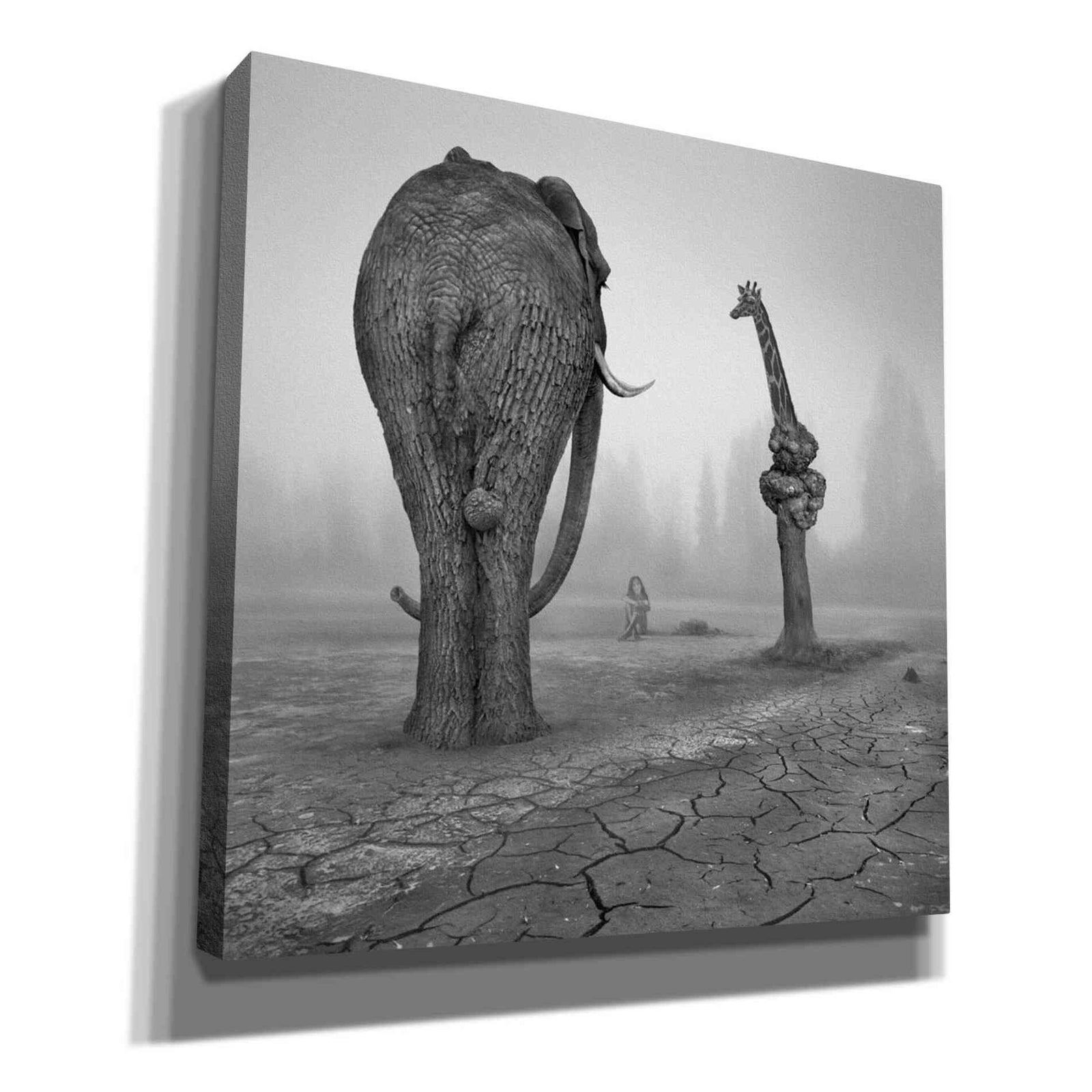 Epic Graffiti 'Animalia' by Dariusz Klimczak, Canvas Wall Art