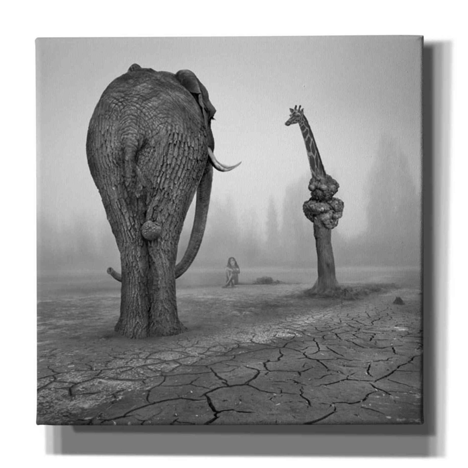 Epic Graffiti 'Animalia' by Dariusz Klimczak, Canvas Wall Art