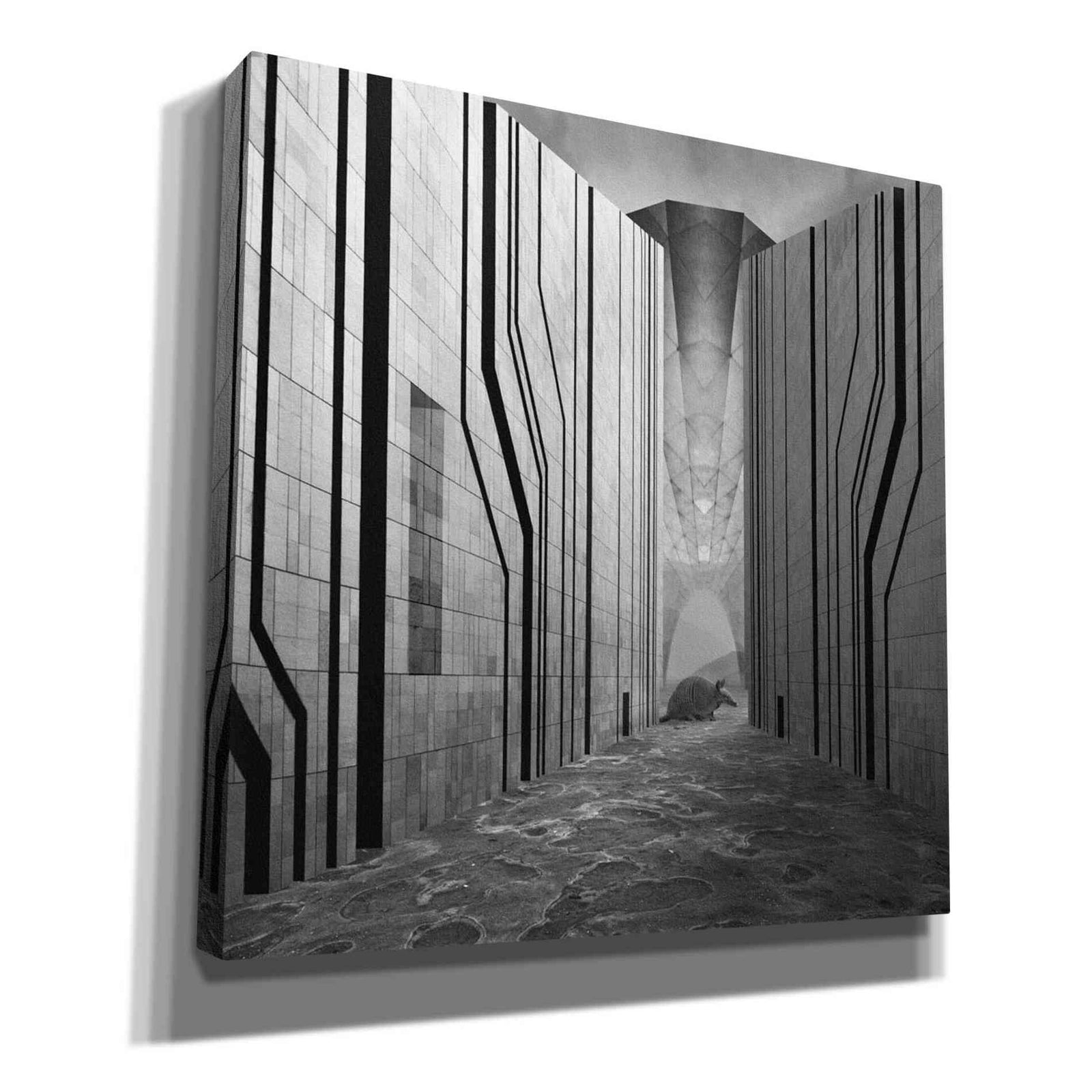 Epic Graffiti 'Armadillo' by Dariusz Klimczak, Canvas Wall Art