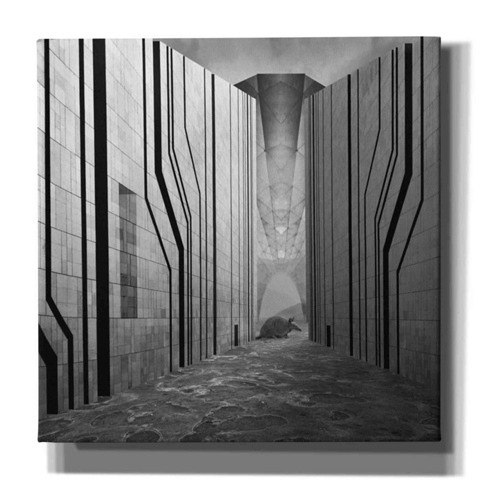 Epic Graffiti 'Armadillo' by Dariusz Klimczak, Canvas Wall Art