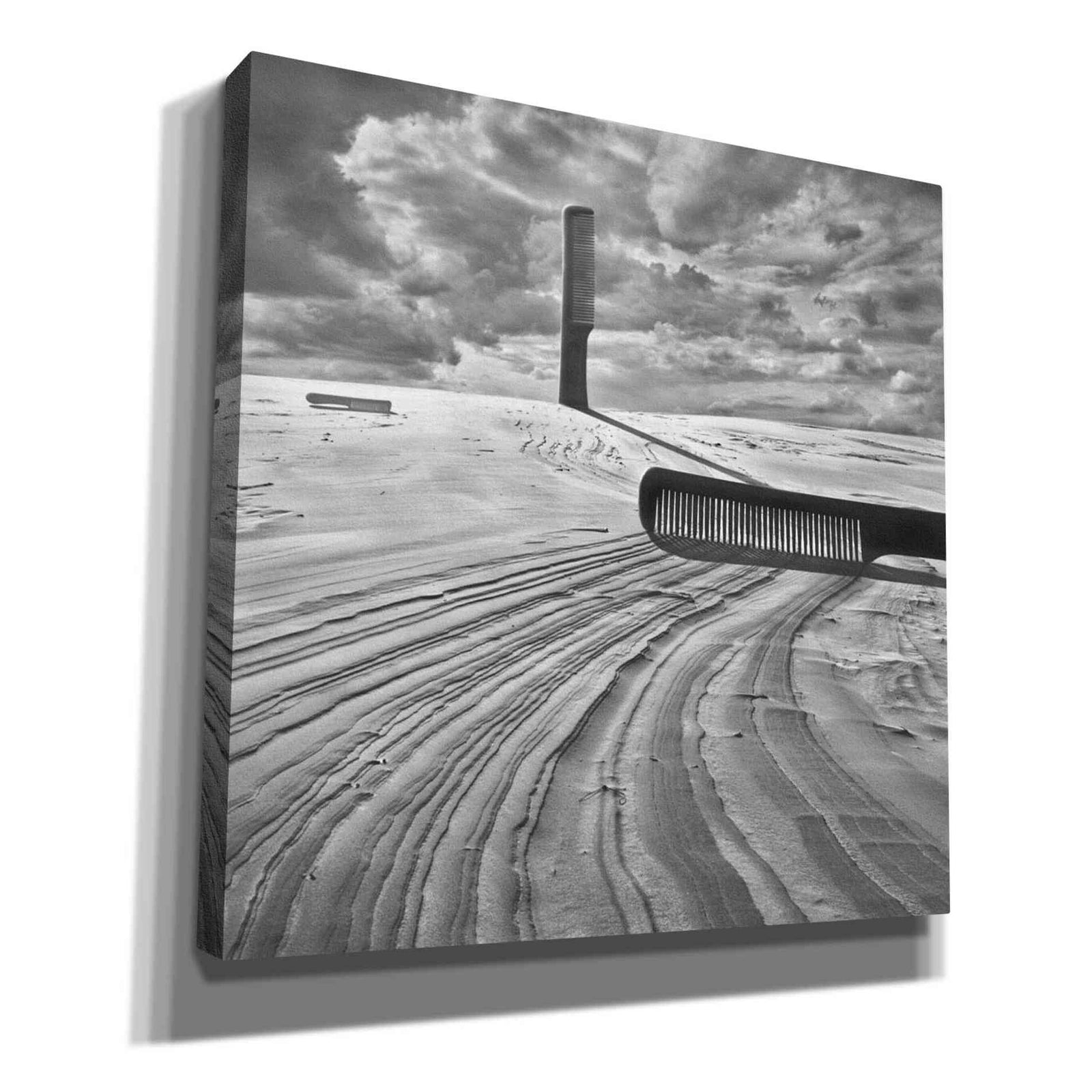 Epic Graffiti 'Combing the Dunes' by Dariusz Klimczak, Canvas Wall Art