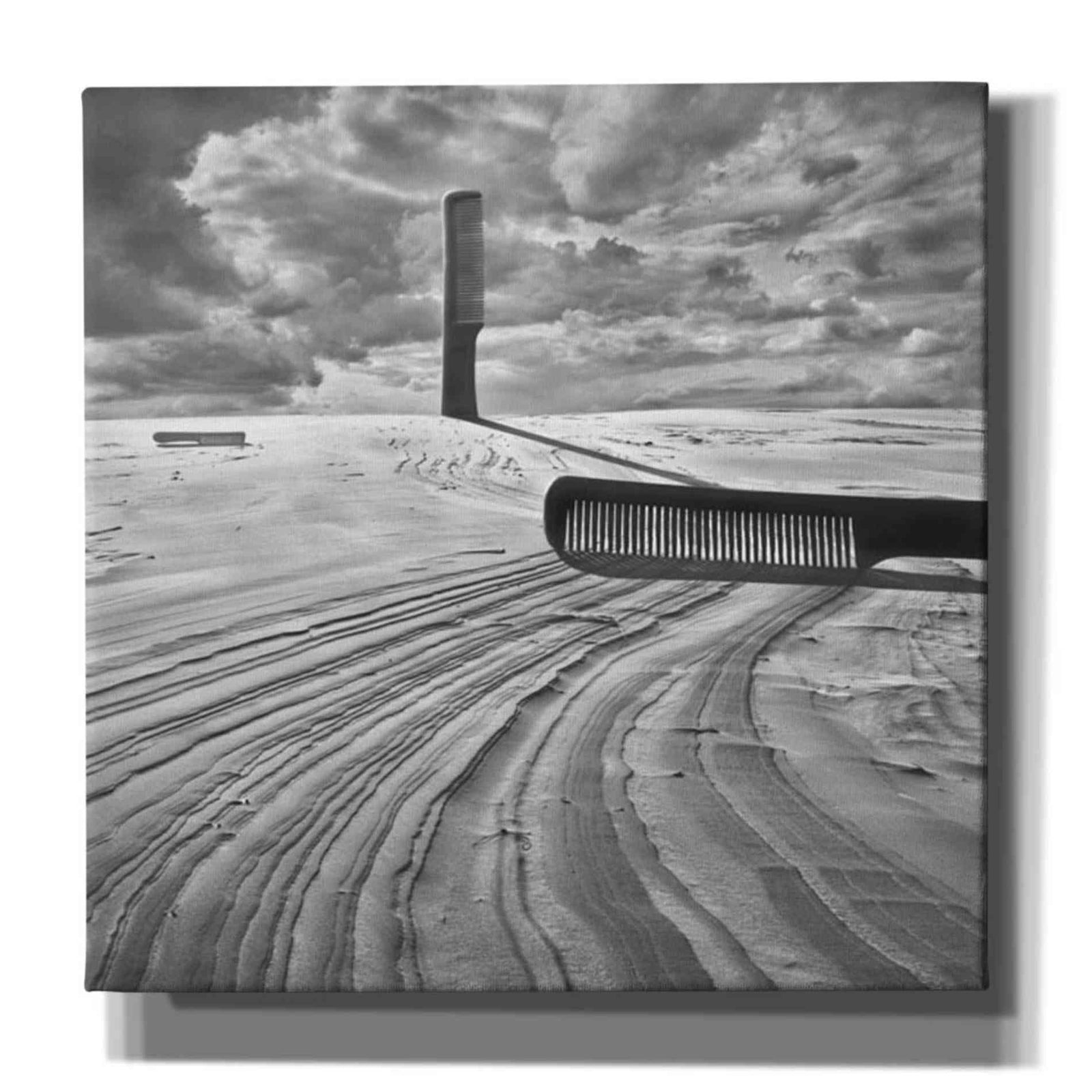 Epic Graffiti 'Combing the Dunes' by Dariusz Klimczak, Canvas Wall Art