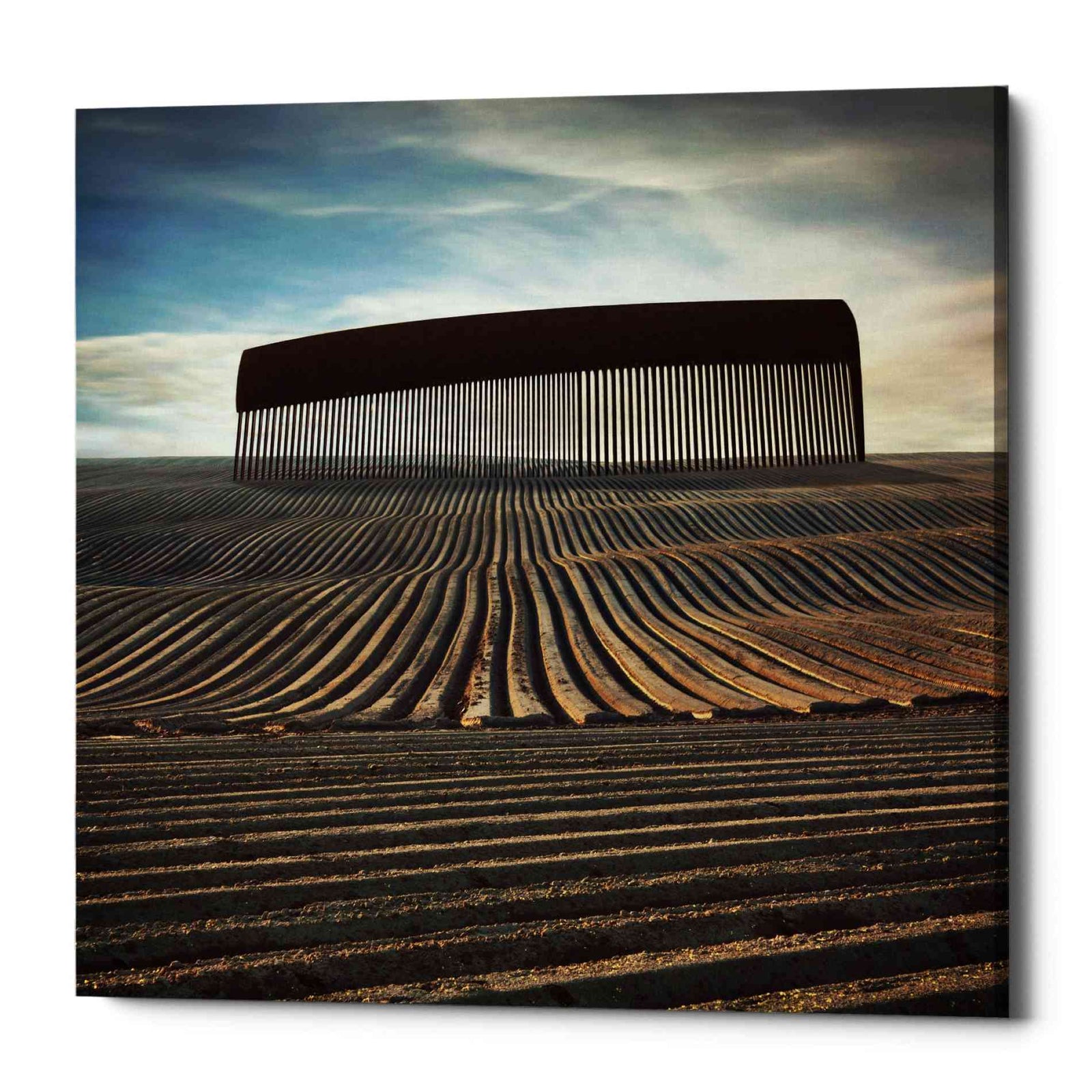 Epic Graffiti 'Combing The Field' by Dariusz Klimczak, Canvas Wall Art