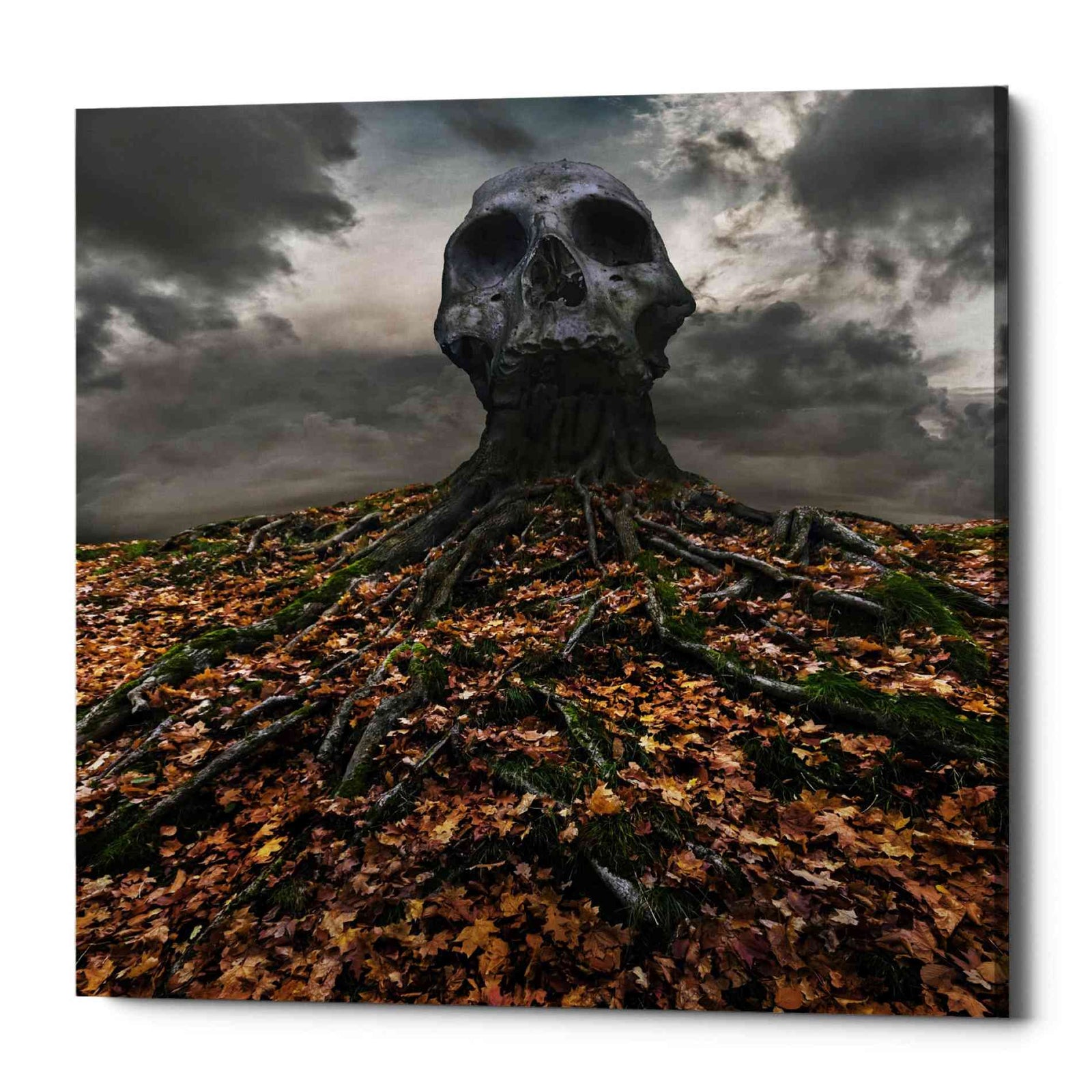 Epic Graffiti 'Czacha' by Dariusz Klimczak, Canvas Wall Art