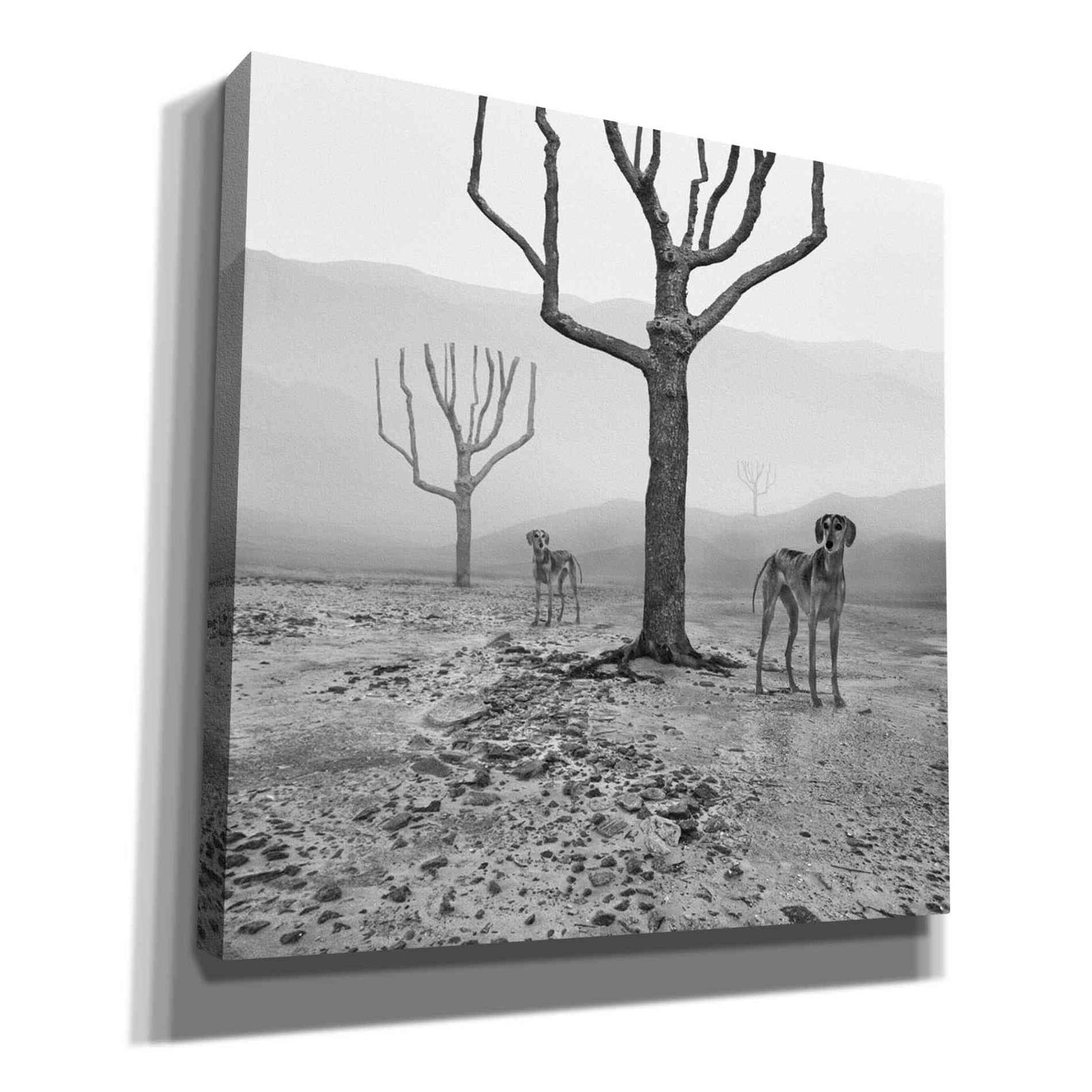 Epic Graffiti 'Dogs in Fog' by Dariusz Klimczak, Canvas Wall Art