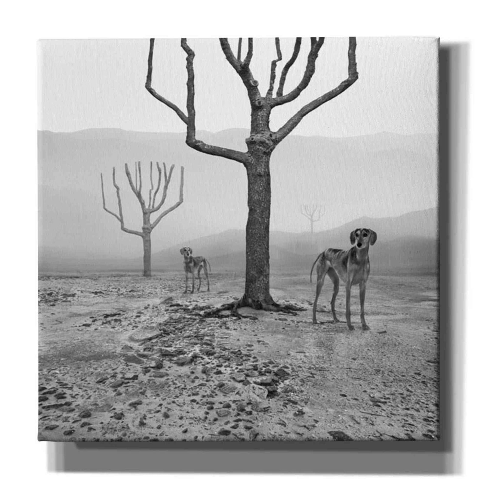 Epic Graffiti 'Dogs in Fog' by Dariusz Klimczak, Canvas Wall Art