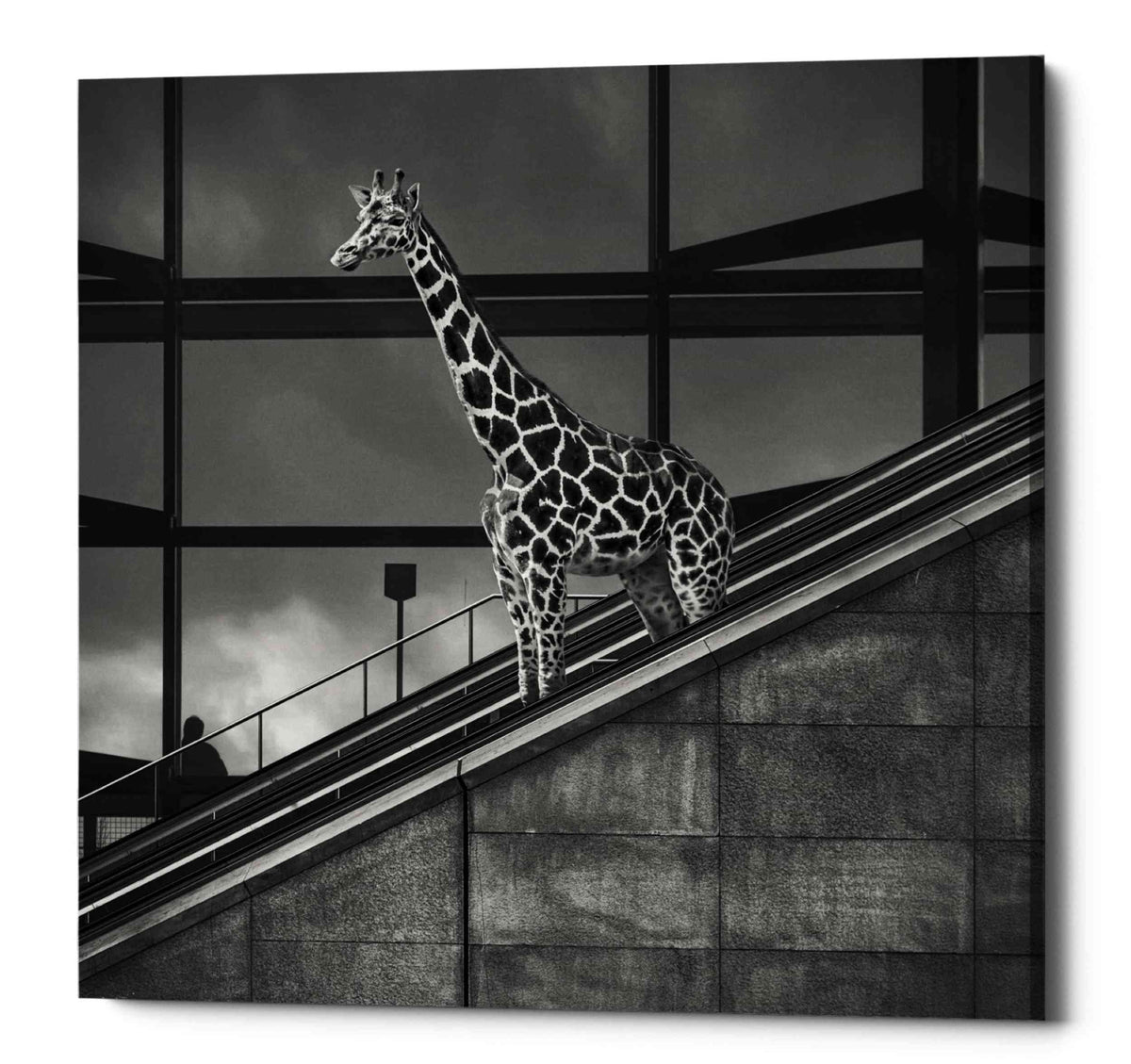 Epic Graffiti &#39;Downstairs&#39; by Dariusz Klimczak, Canvas Wall Art