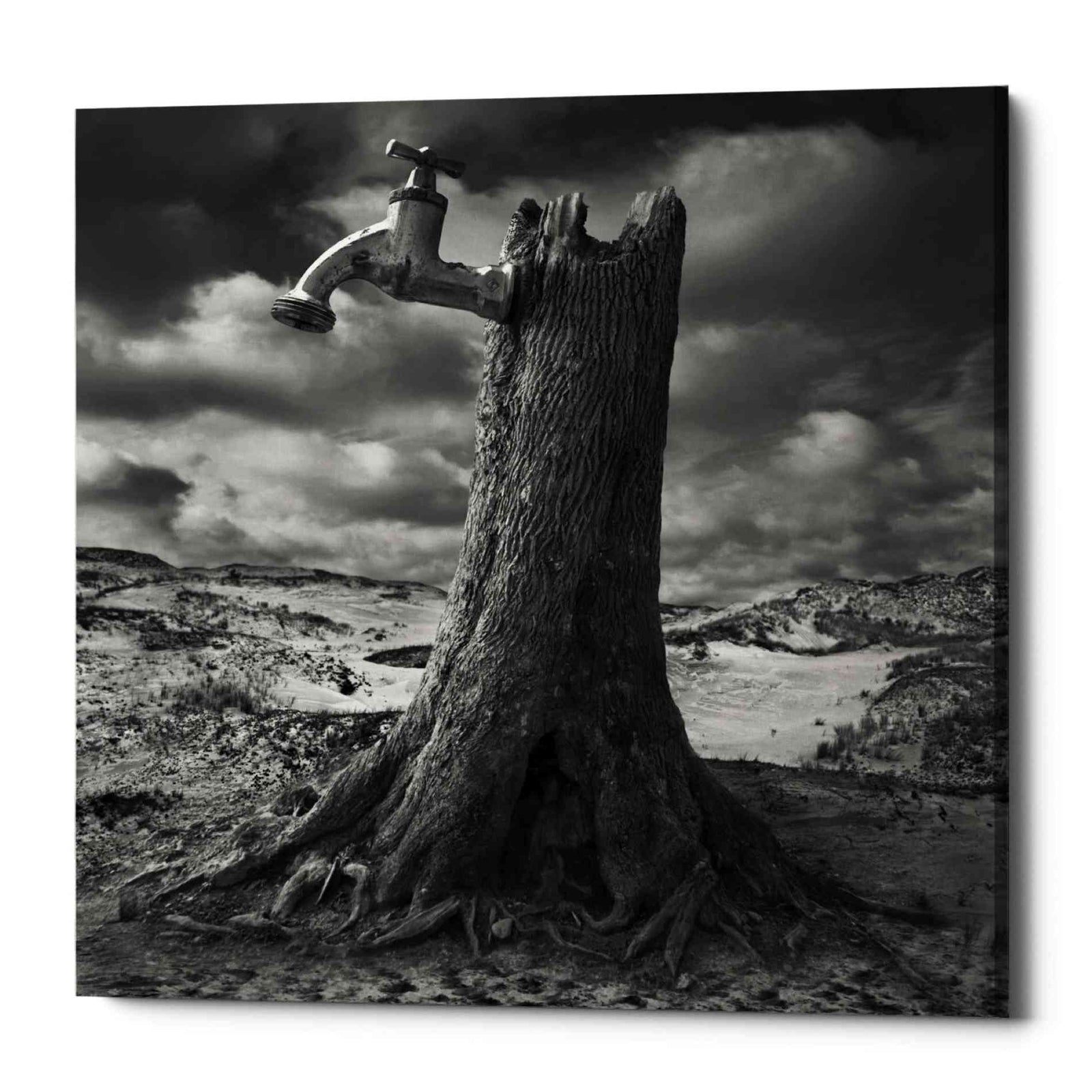Epic Graffiti 'Dry' by Dariusz Klimczak, Canvas Wall Art