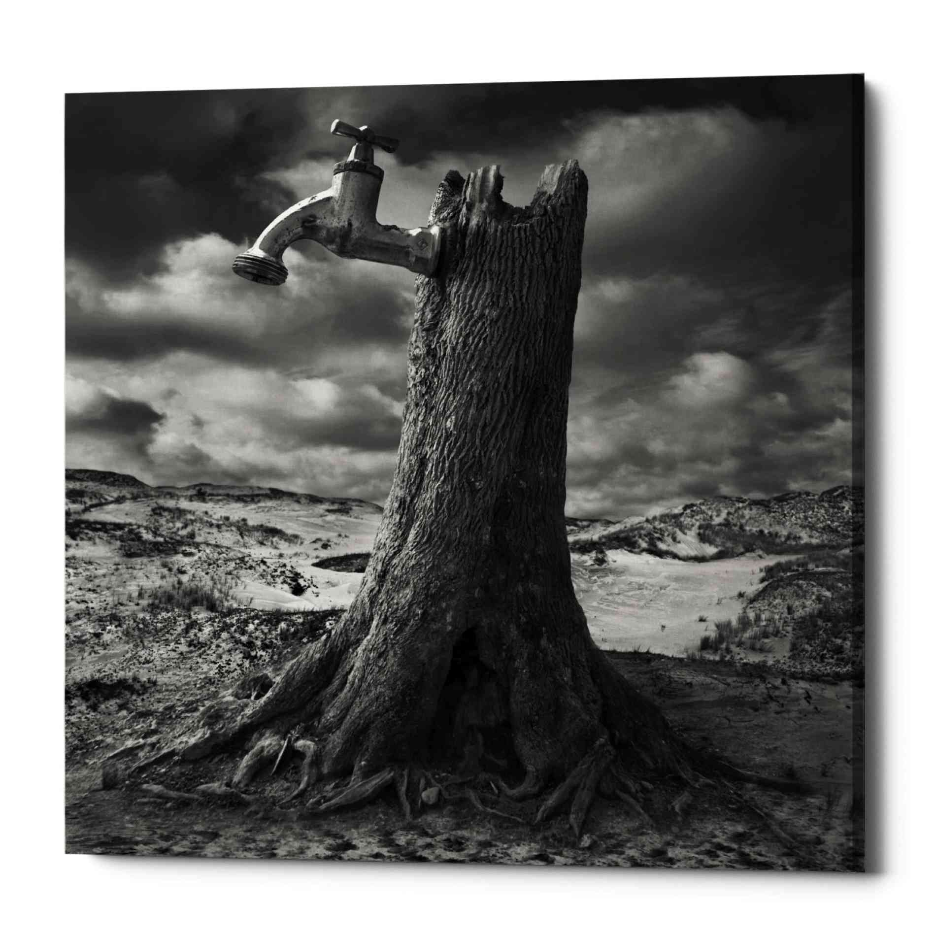 Epic Graffiti 'Dry' by Dariusz Klimczak, Canvas Wall Art