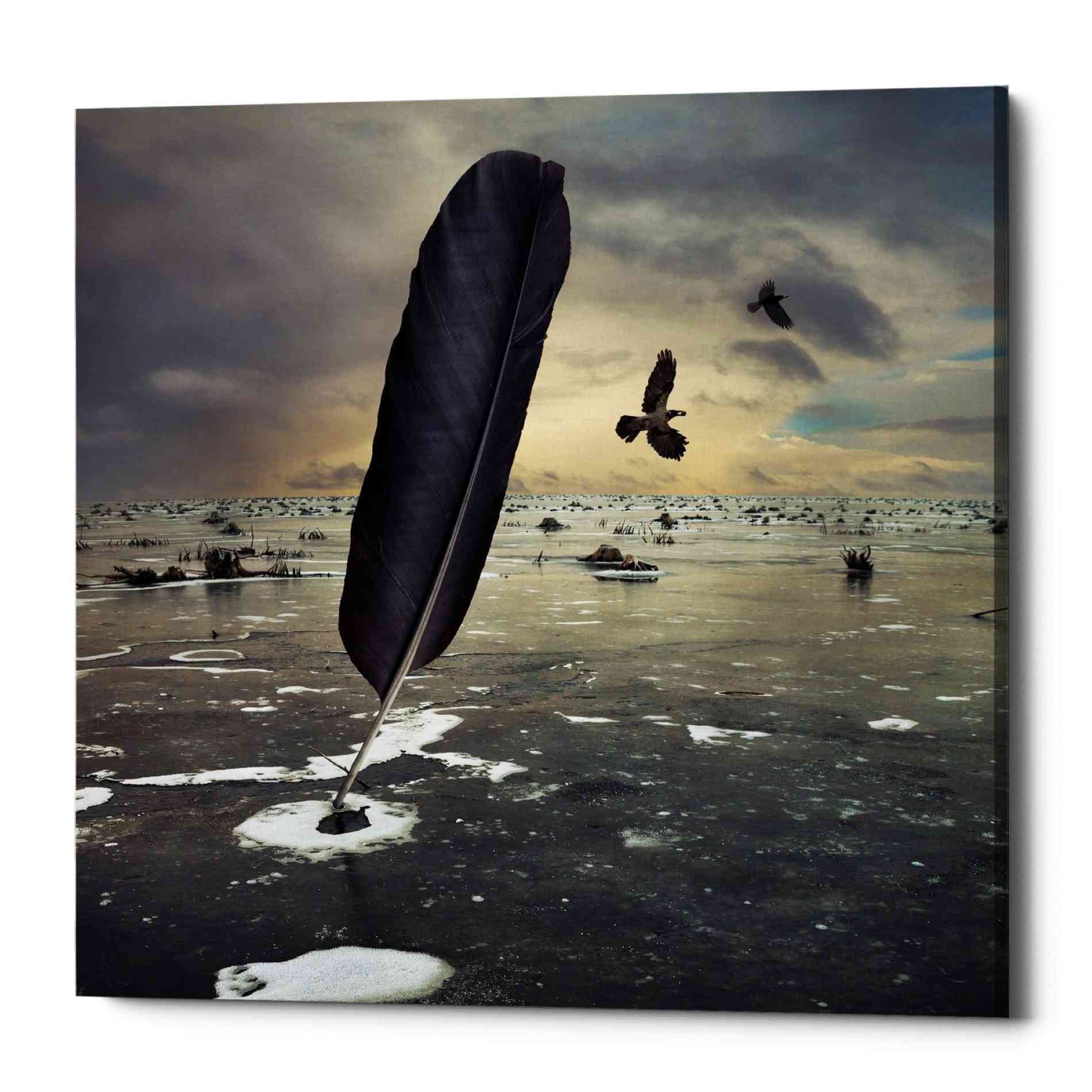 Epic Graffiti 'Featherland' by Dariusz Klimczak, Canvas Wall Art