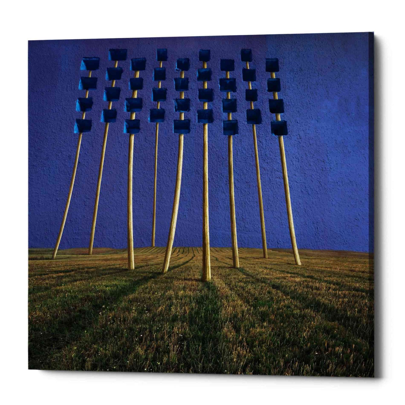 Epic Graffiti 'Flowers' by Dariusz Klimczak, Canvas Wall Art