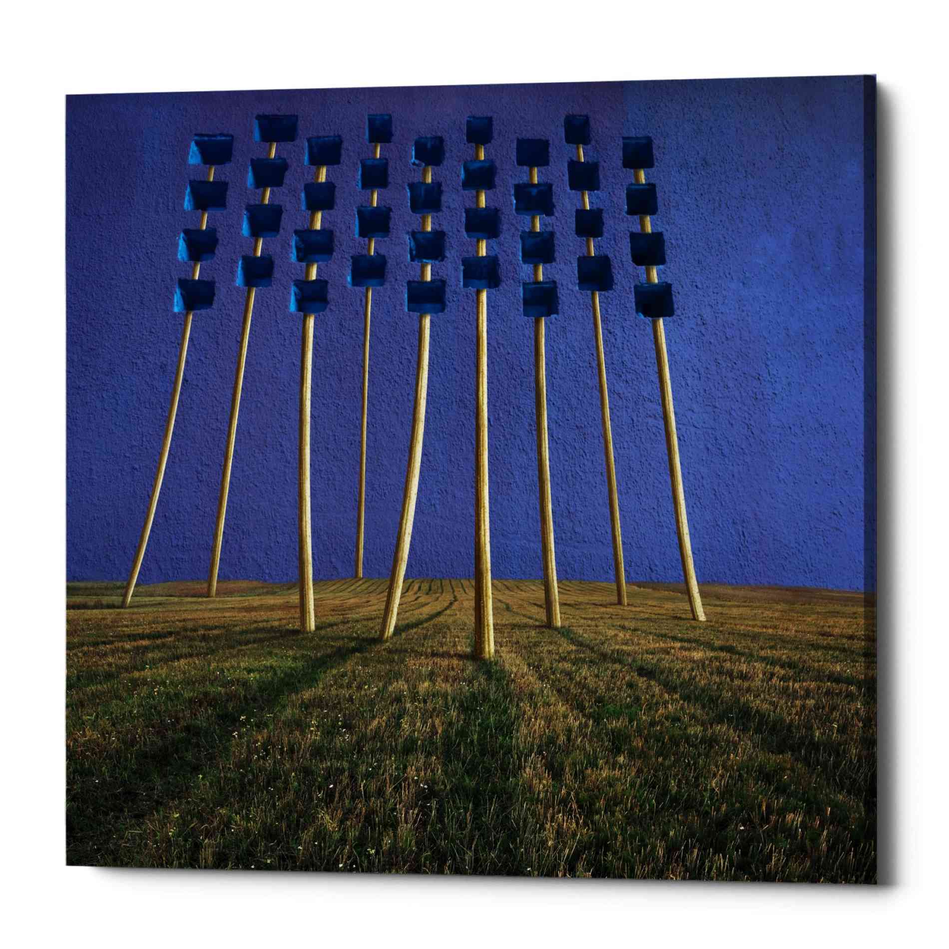 Epic Graffiti 'Flowers' by Dariusz Klimczak, Canvas Wall Art