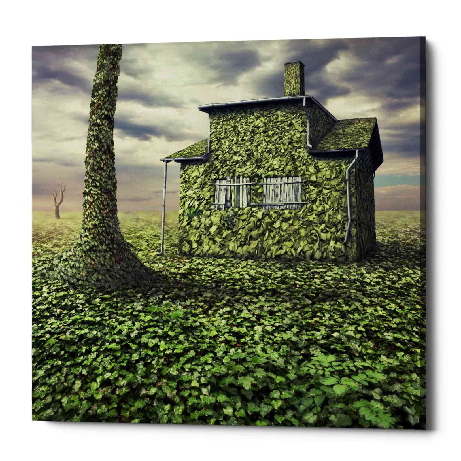 Epic Graffiti 'House of Leaves' by Dariusz Klimczak, Canvas Wall Art