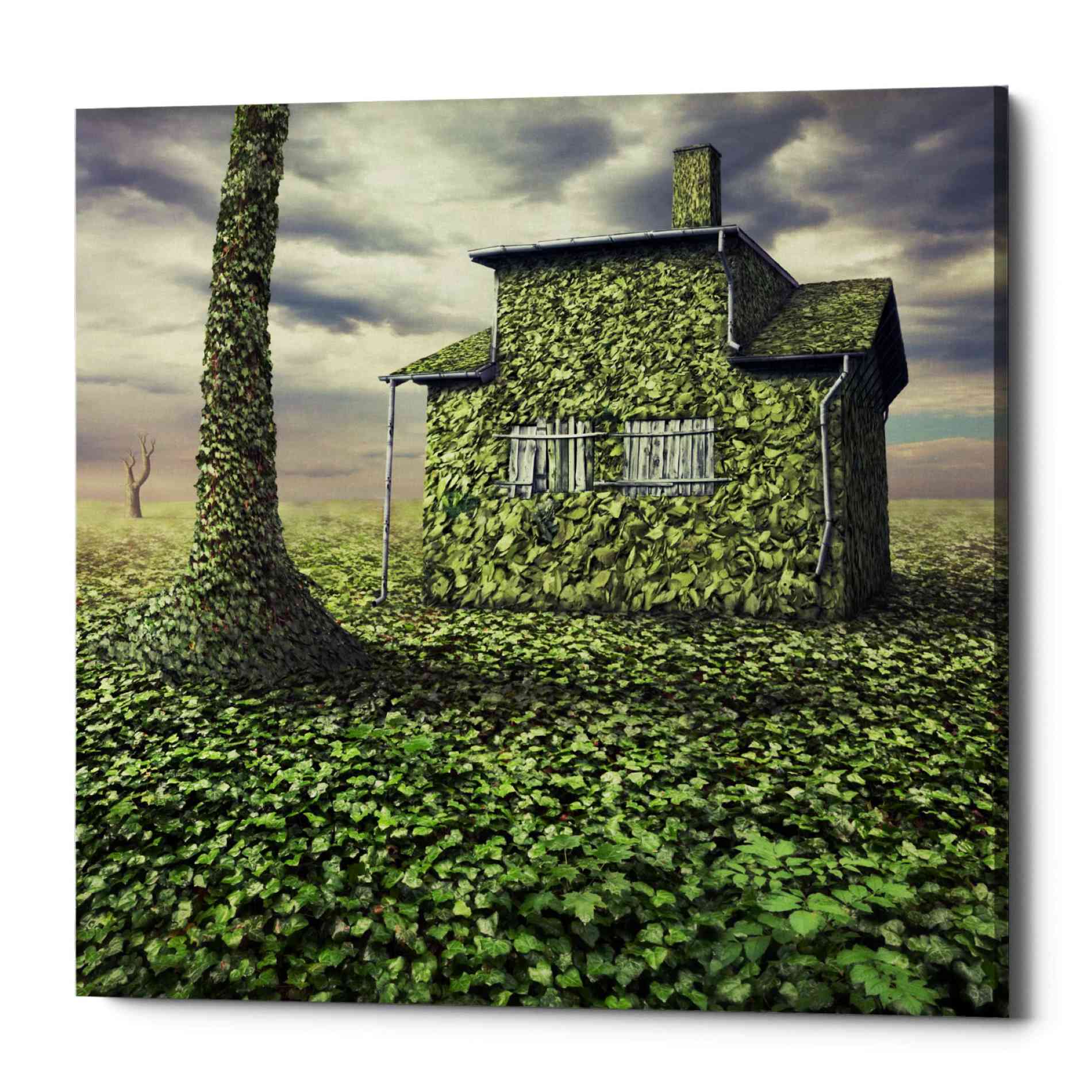 Epic Graffiti 'House of Leaves' by Dariusz Klimczak, Canvas Wall Art