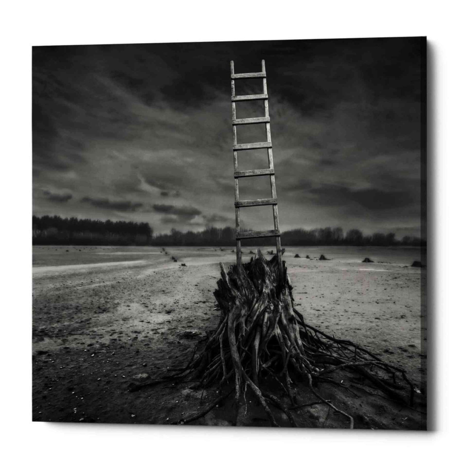 Epic Graffiti 'Jacob's Ladder' by Dariusz Klimczak, Canvas Wall Art