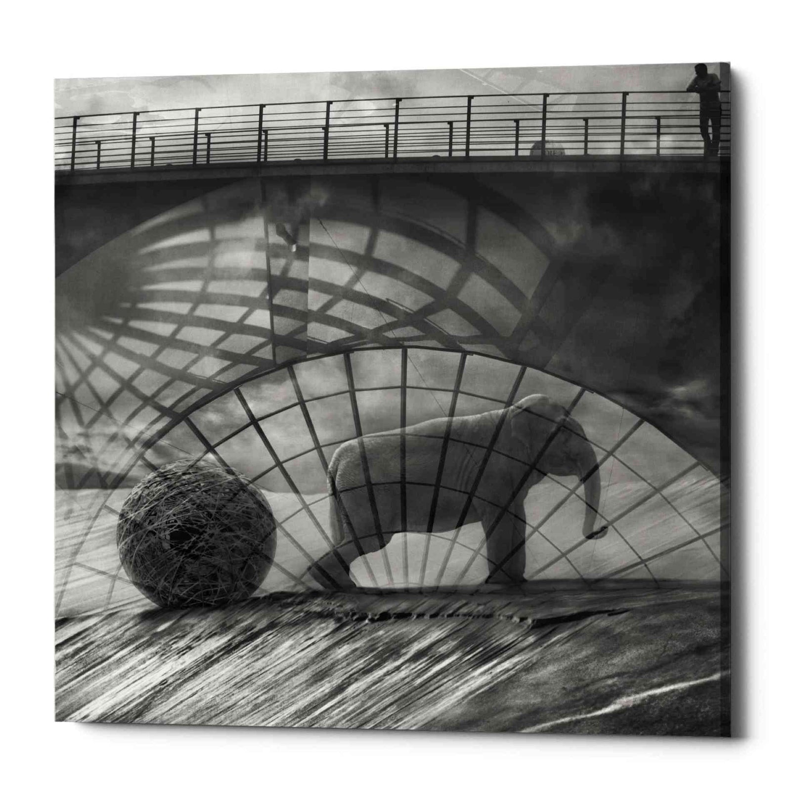 Epic Graffiti 'Kingandi' by Dariusz Klimczak, Canvas Wall Art