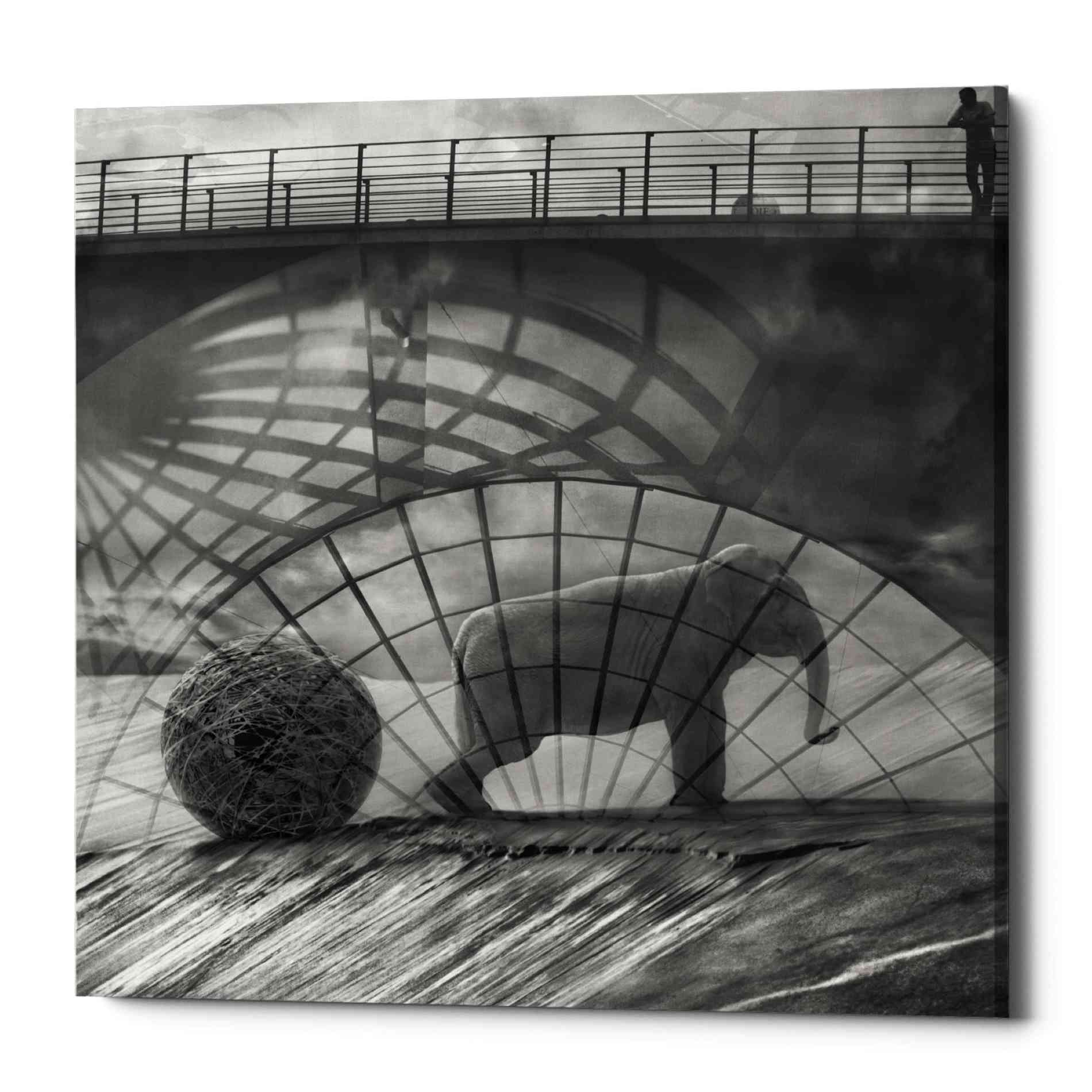Epic Graffiti 'Kingandi' by Dariusz Klimczak, Canvas Wall Art