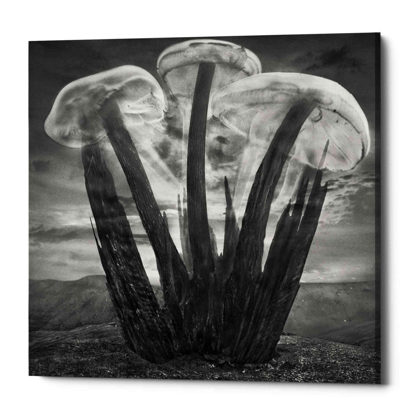 Epic Graffiti 'Meduzalem' by Dariusz Klimczak, Canvas Wall Art