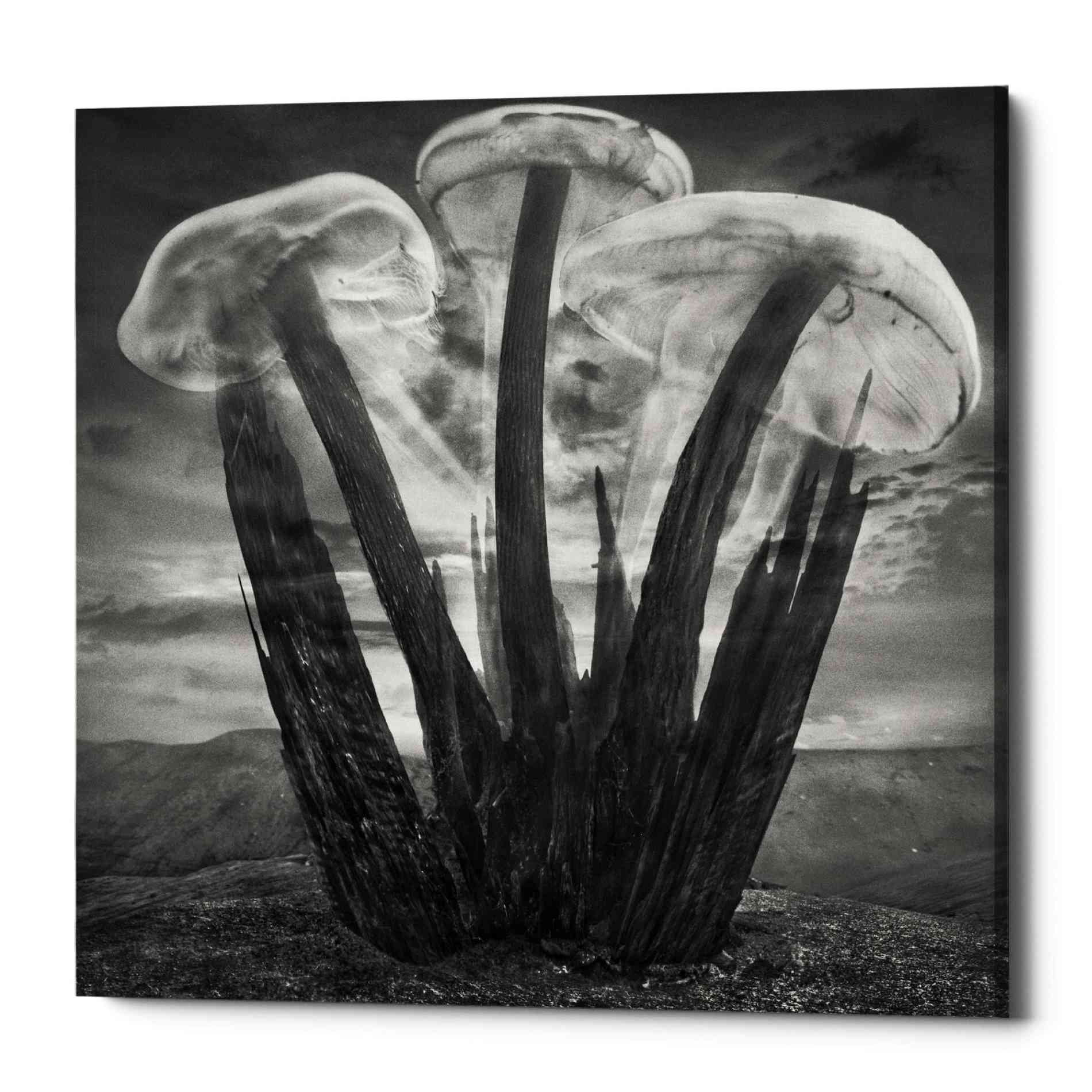 Epic Graffiti 'Meduzalem' by Dariusz Klimczak, Canvas Wall Art